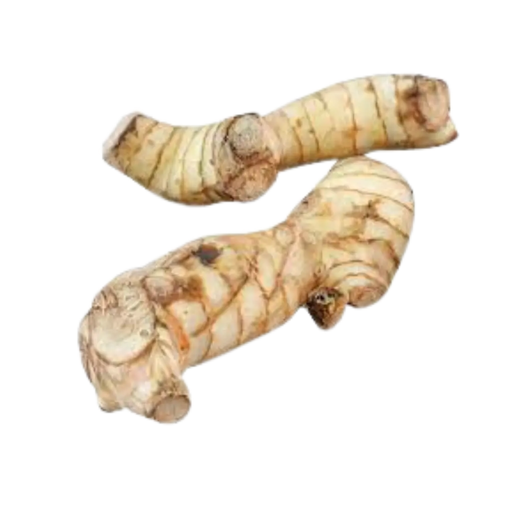 Galangal