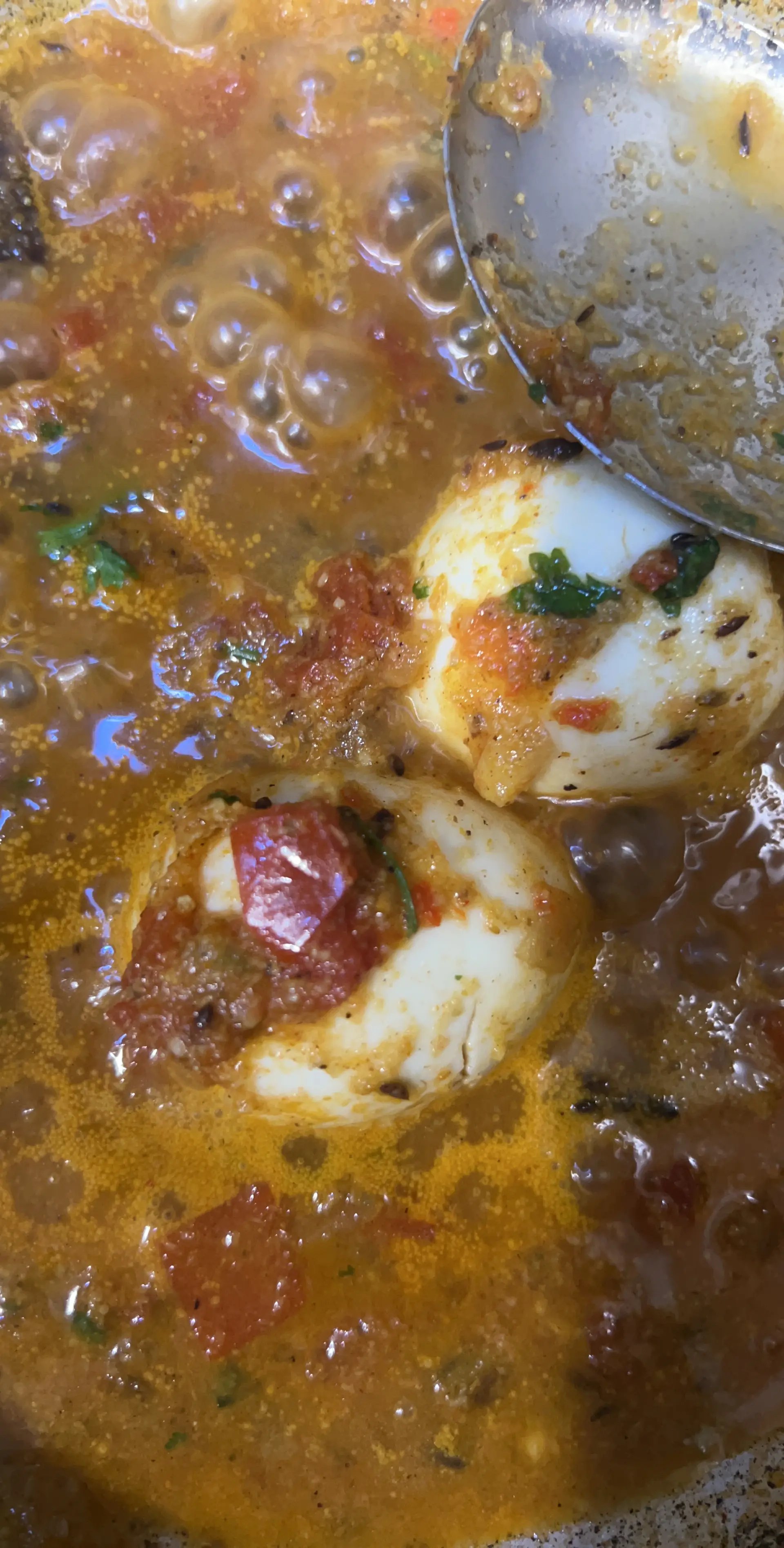 A cook's photo of Egg Kurma