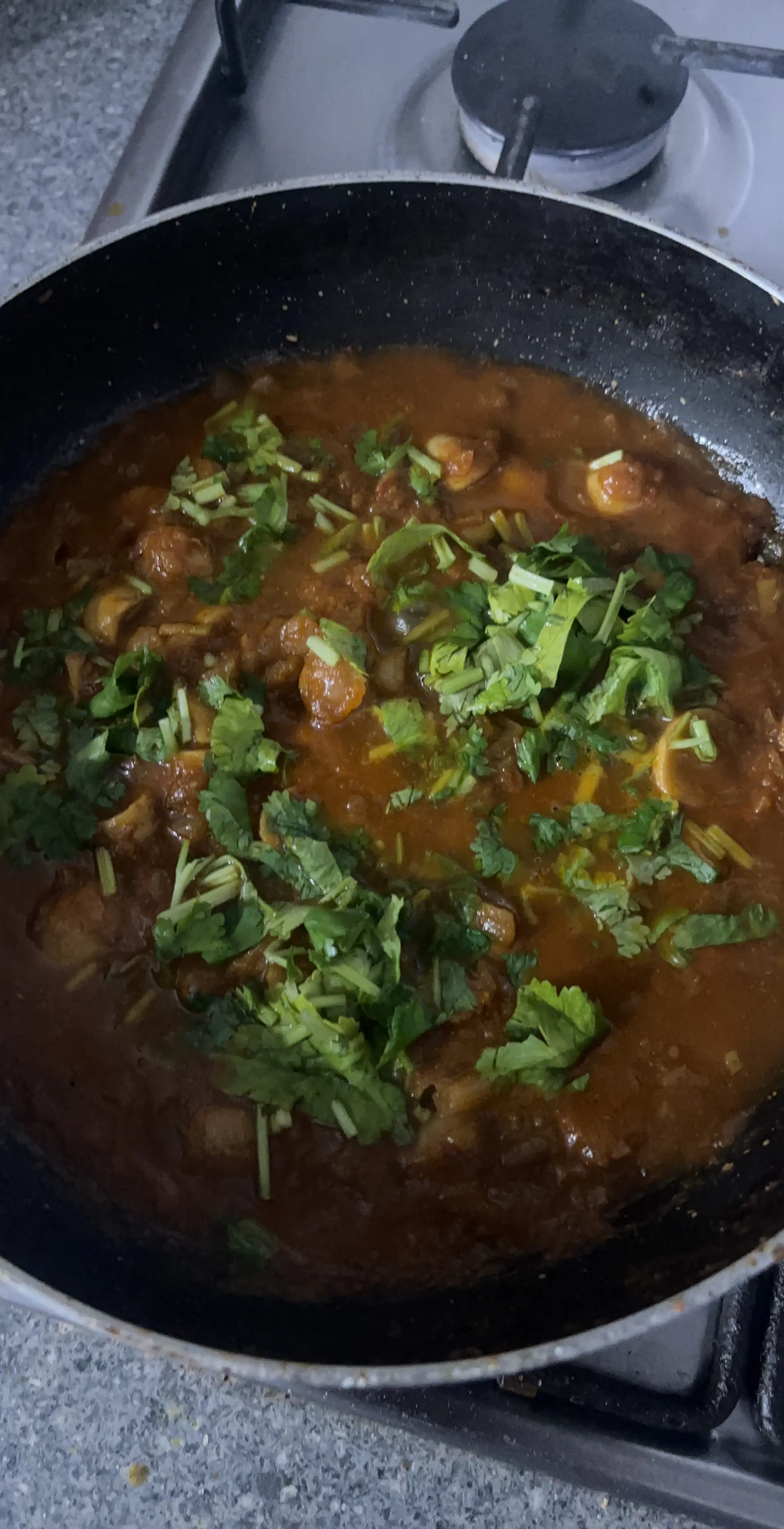 A cook's photo of Mushroom Masala