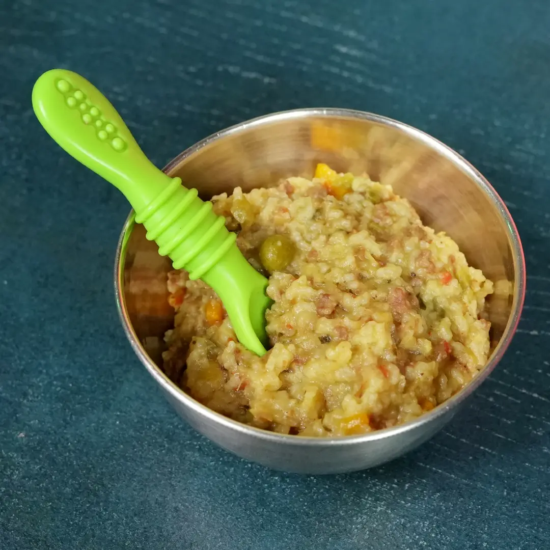 Biryani For Babies