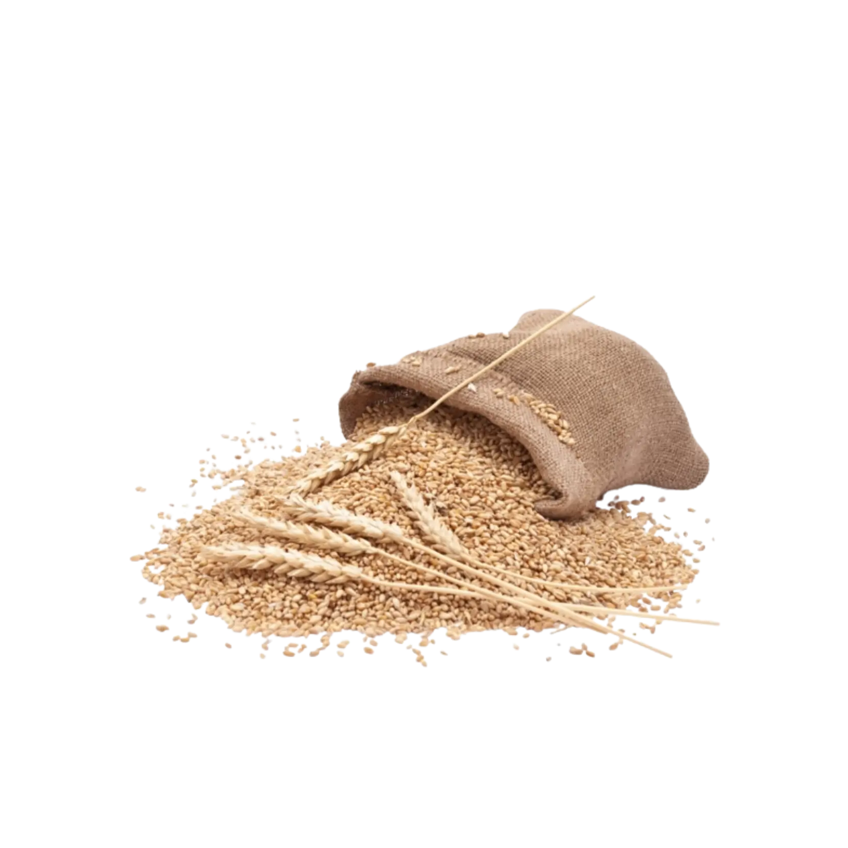 Whole wheat