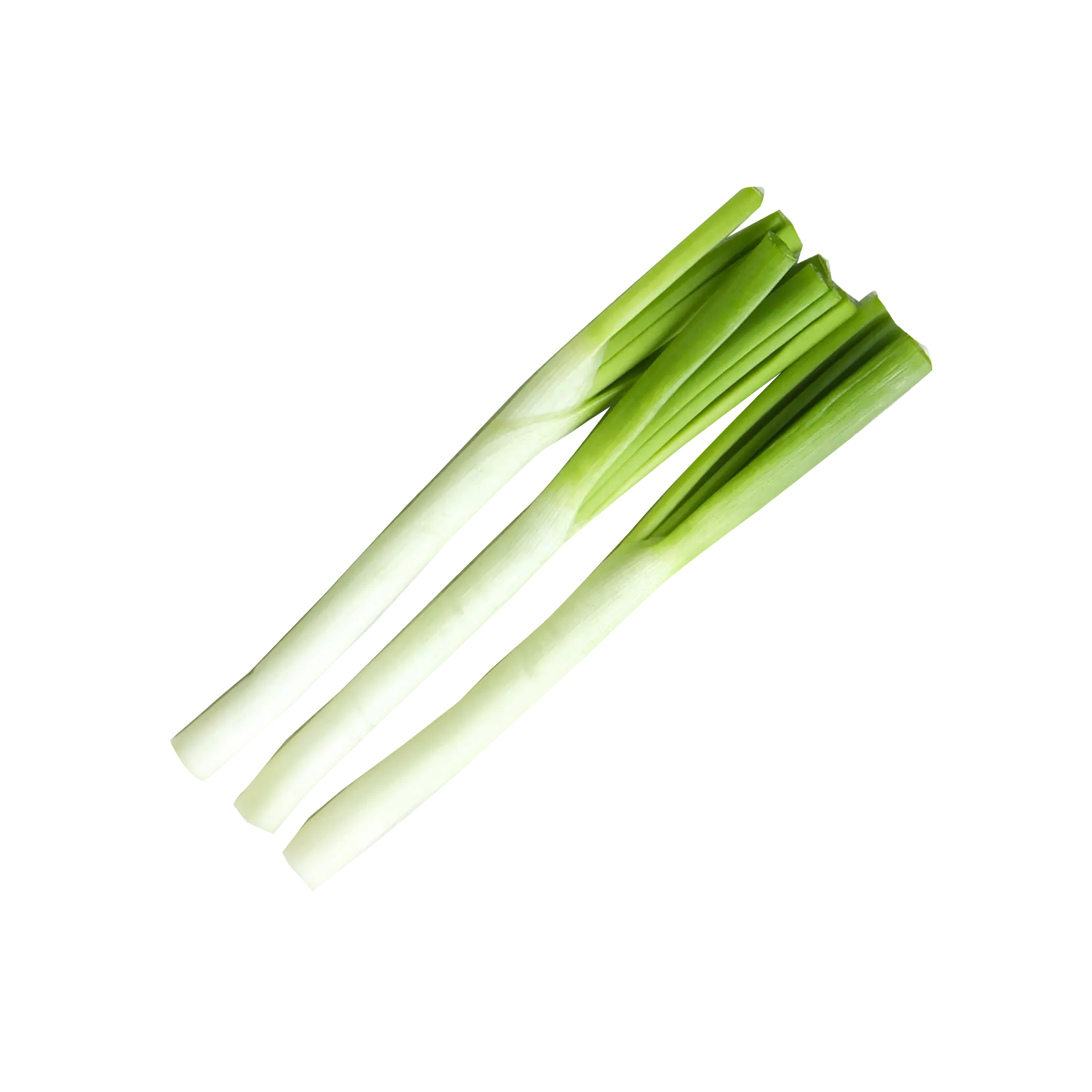 Spring Onion (whites)