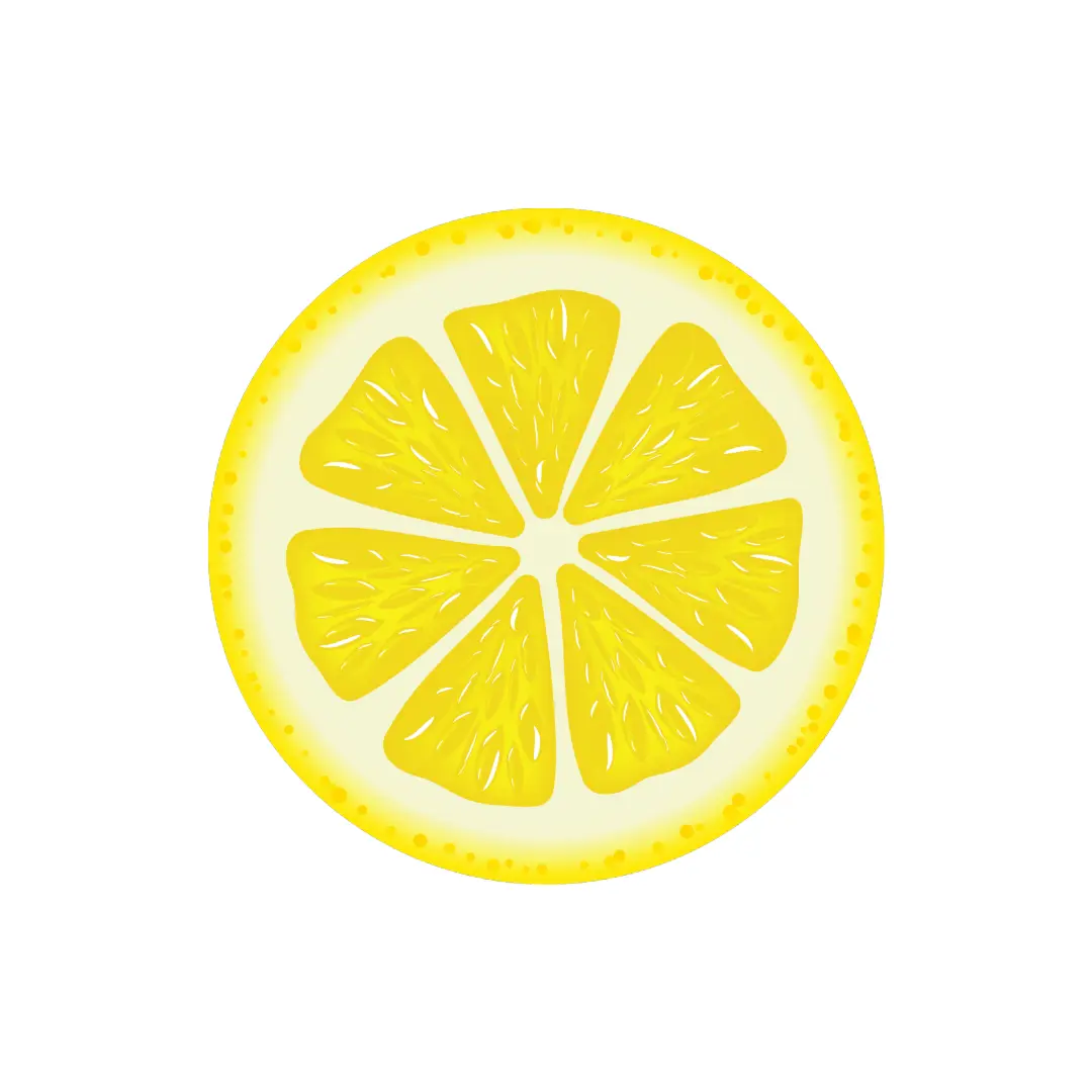 Lemon Slices