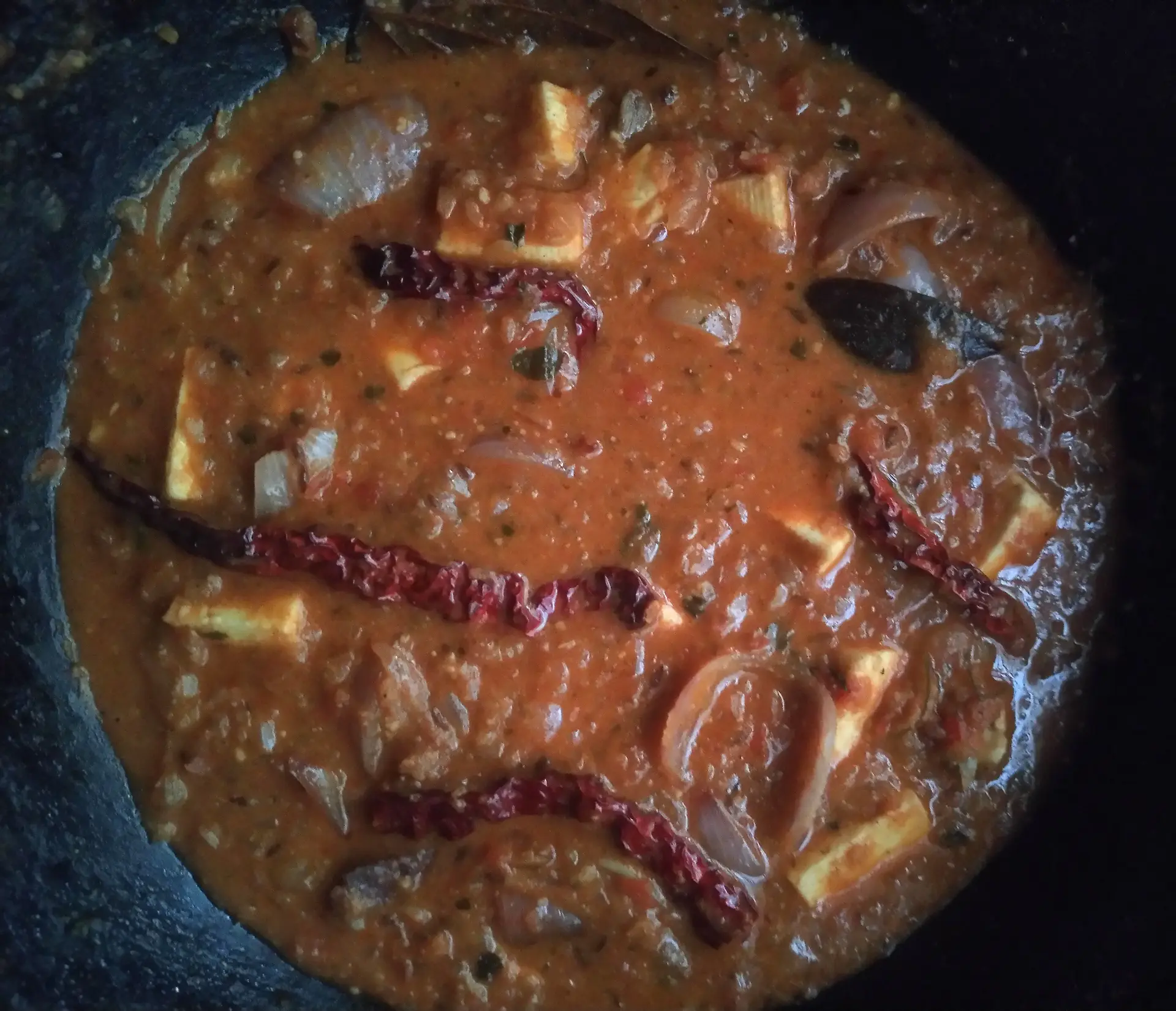 A cook's photo of Paneer Do Pyaza