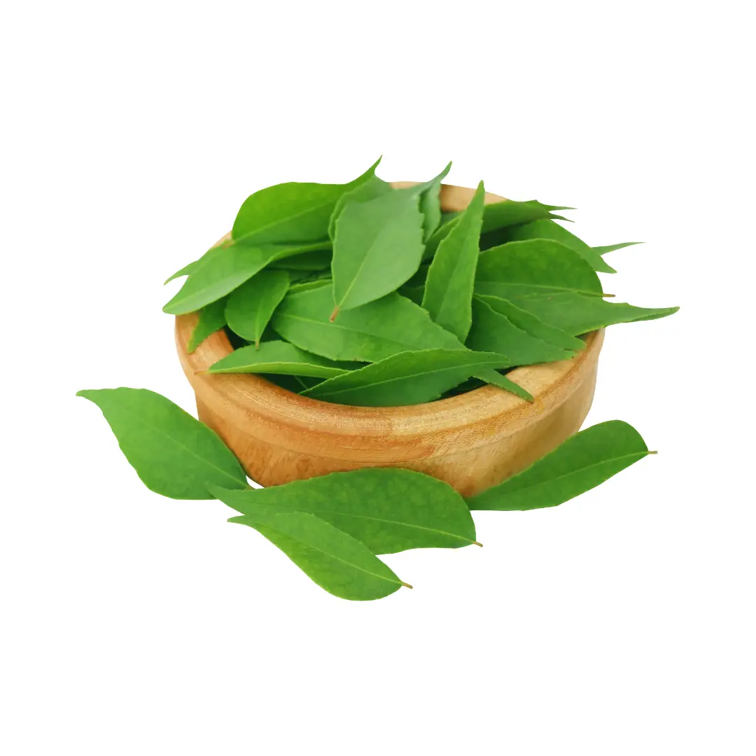 Fried Curry Leaves