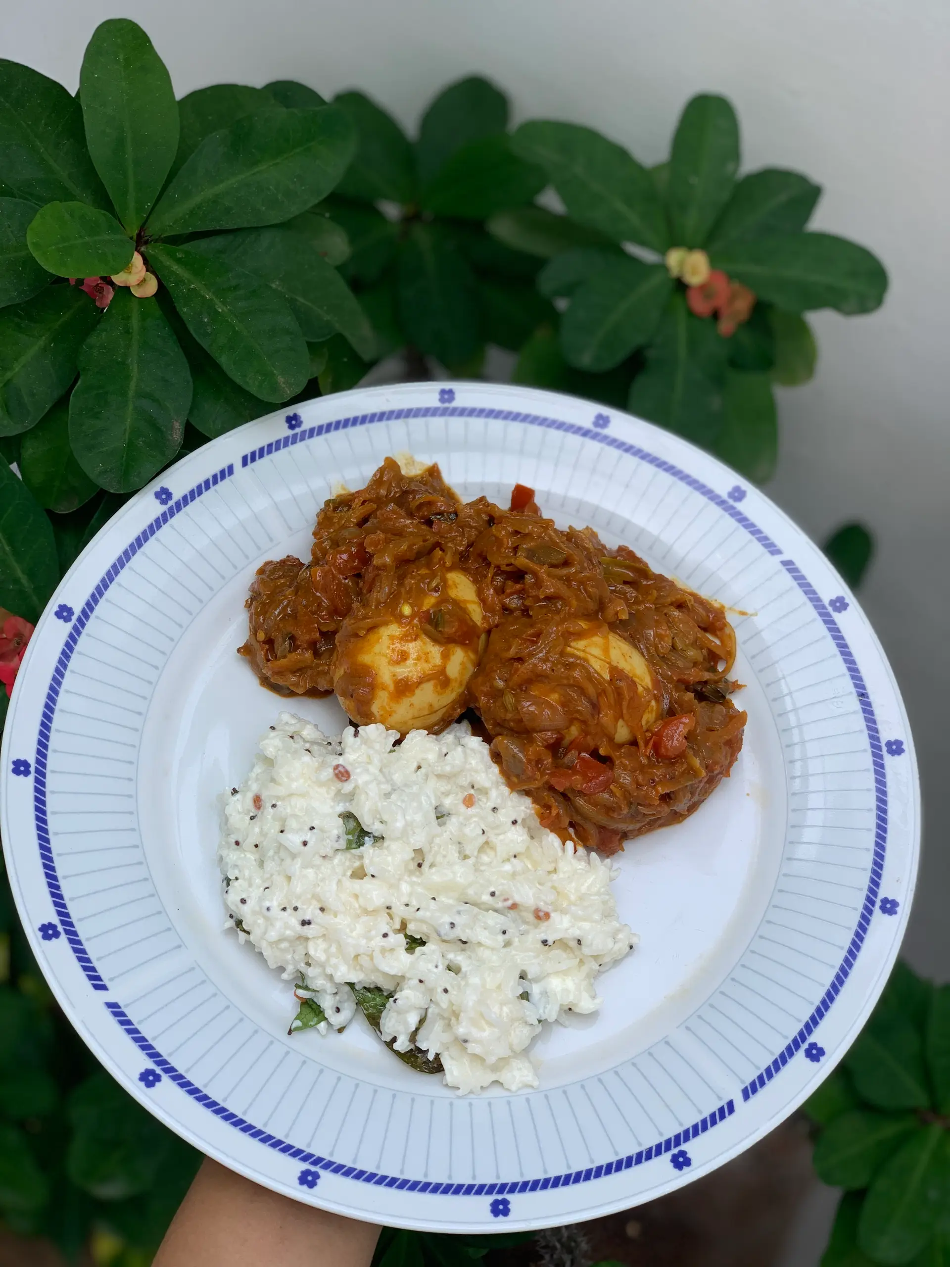 A cook's photo of Kerala Egg Roast