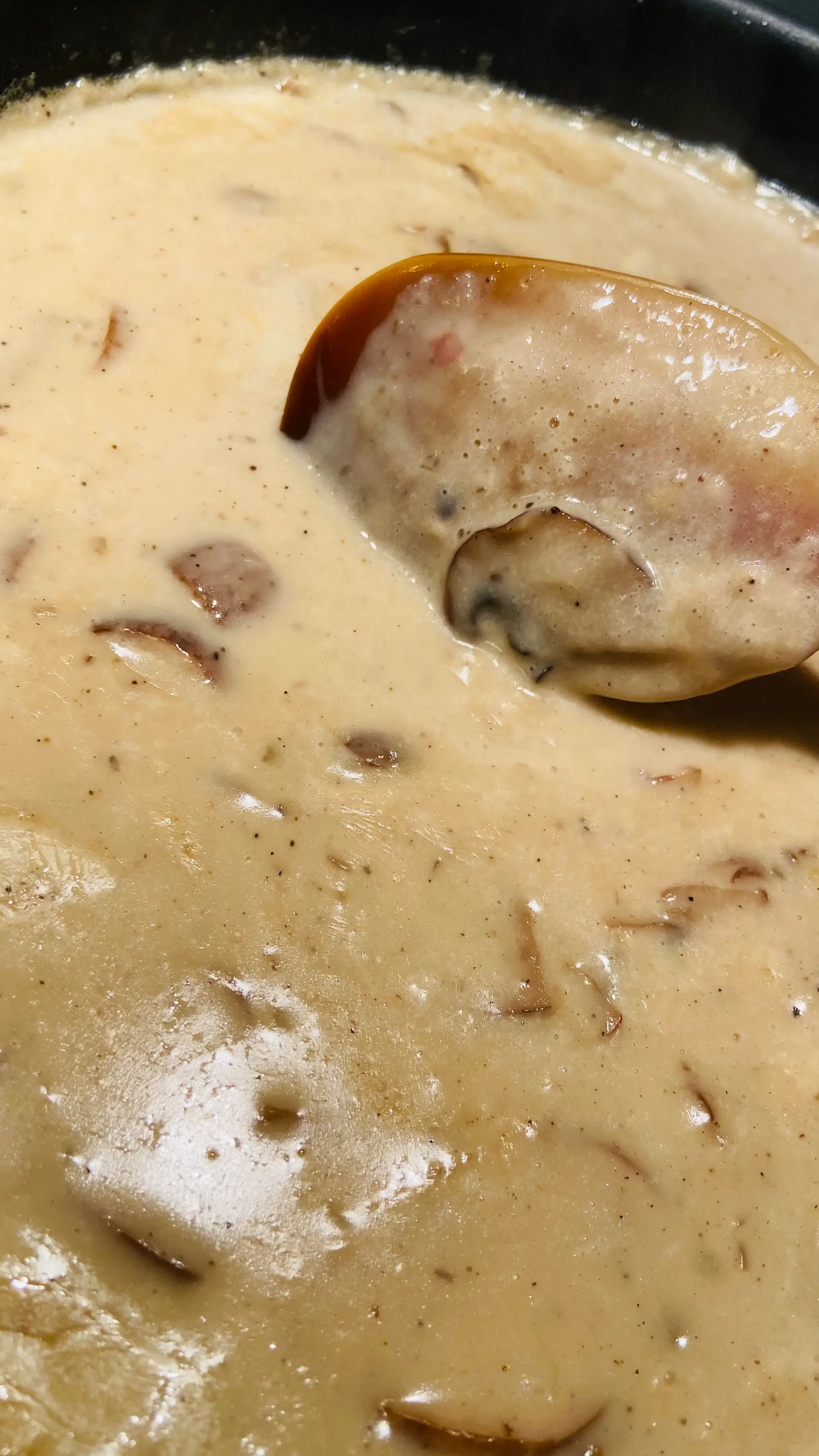 A cook's photo of Cream of Mushroom Soup