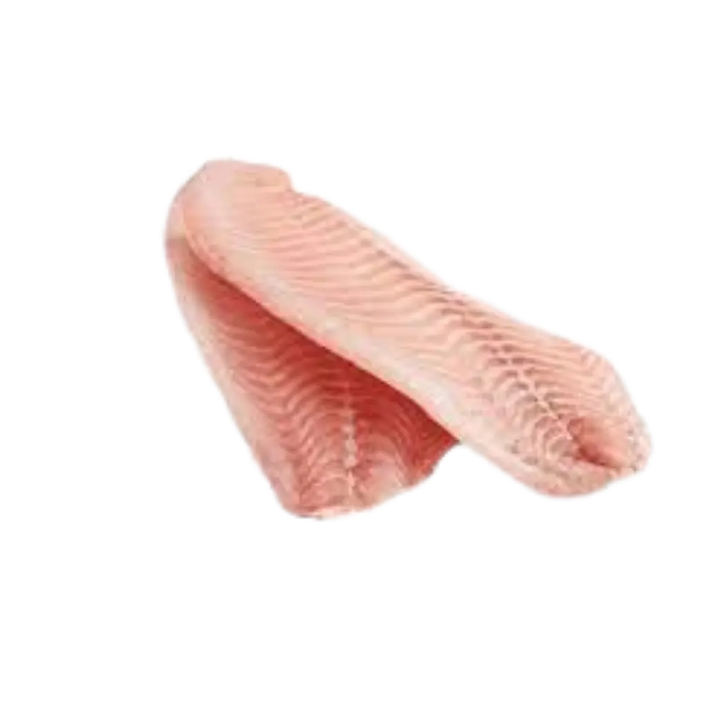 Shark Fish