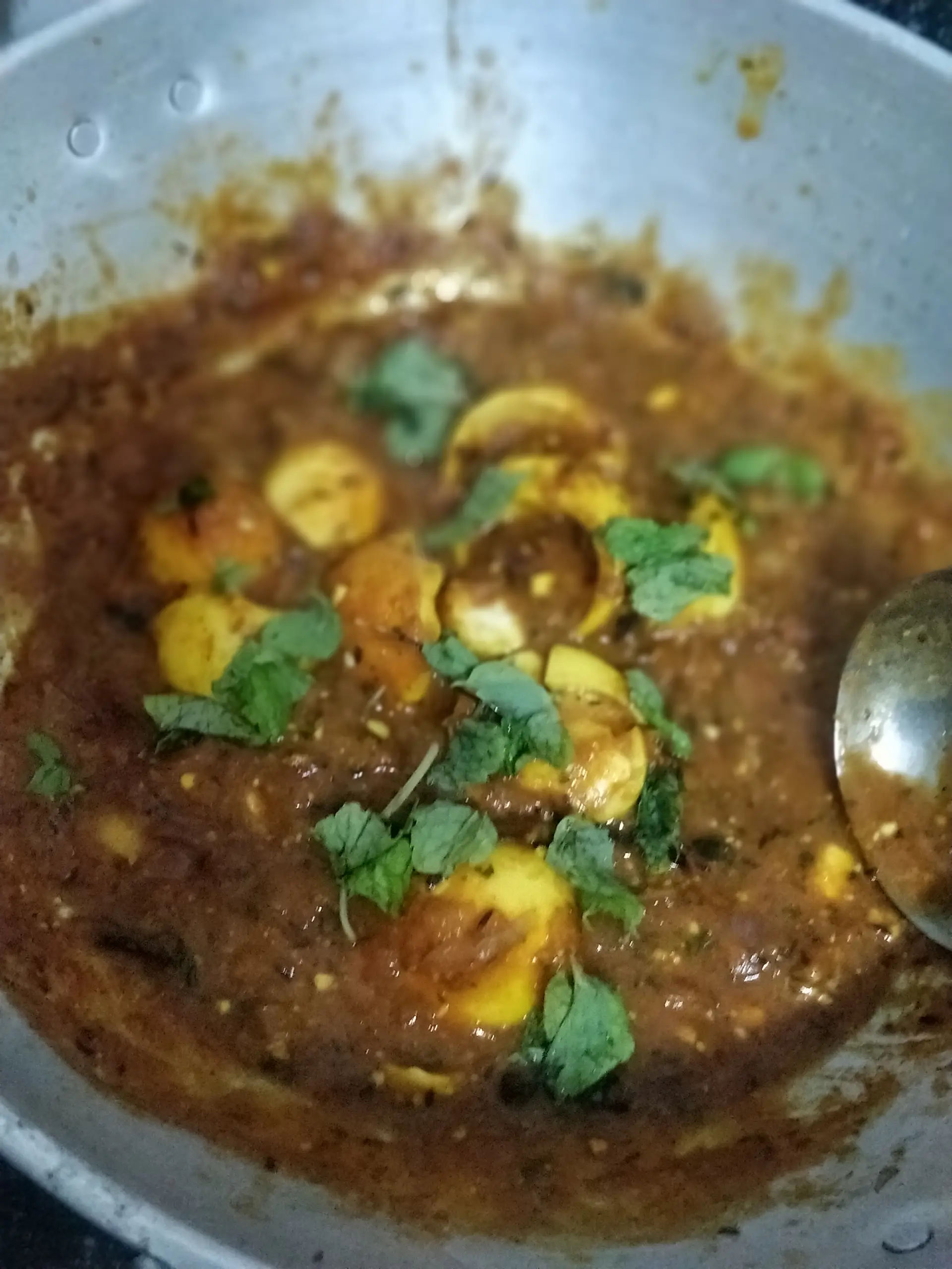 A cook's photo of Egg Curry