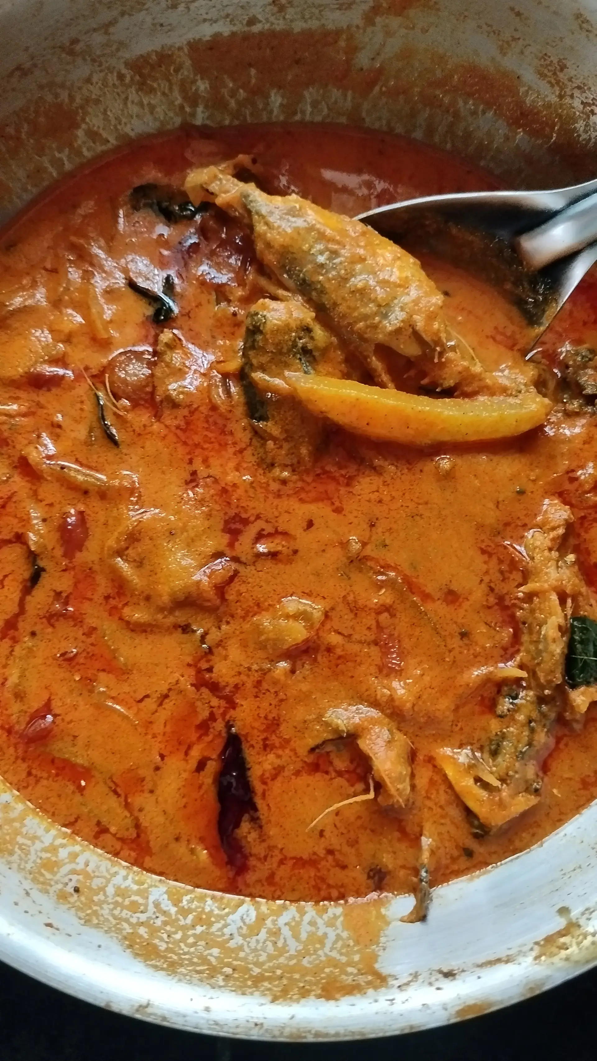 A cook's photo of Raw Mango Fish Curry