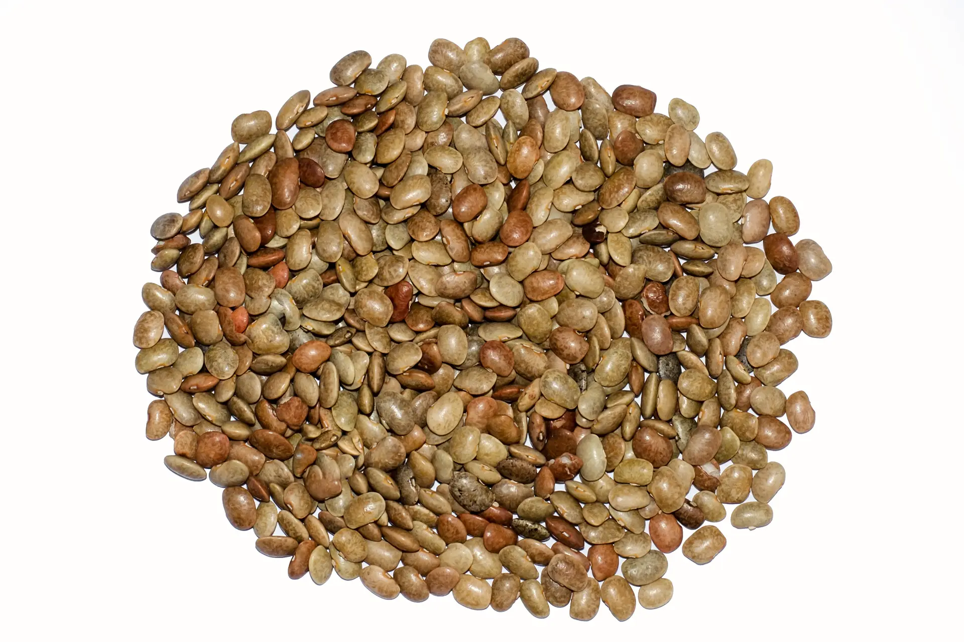 Horsegram Lentil