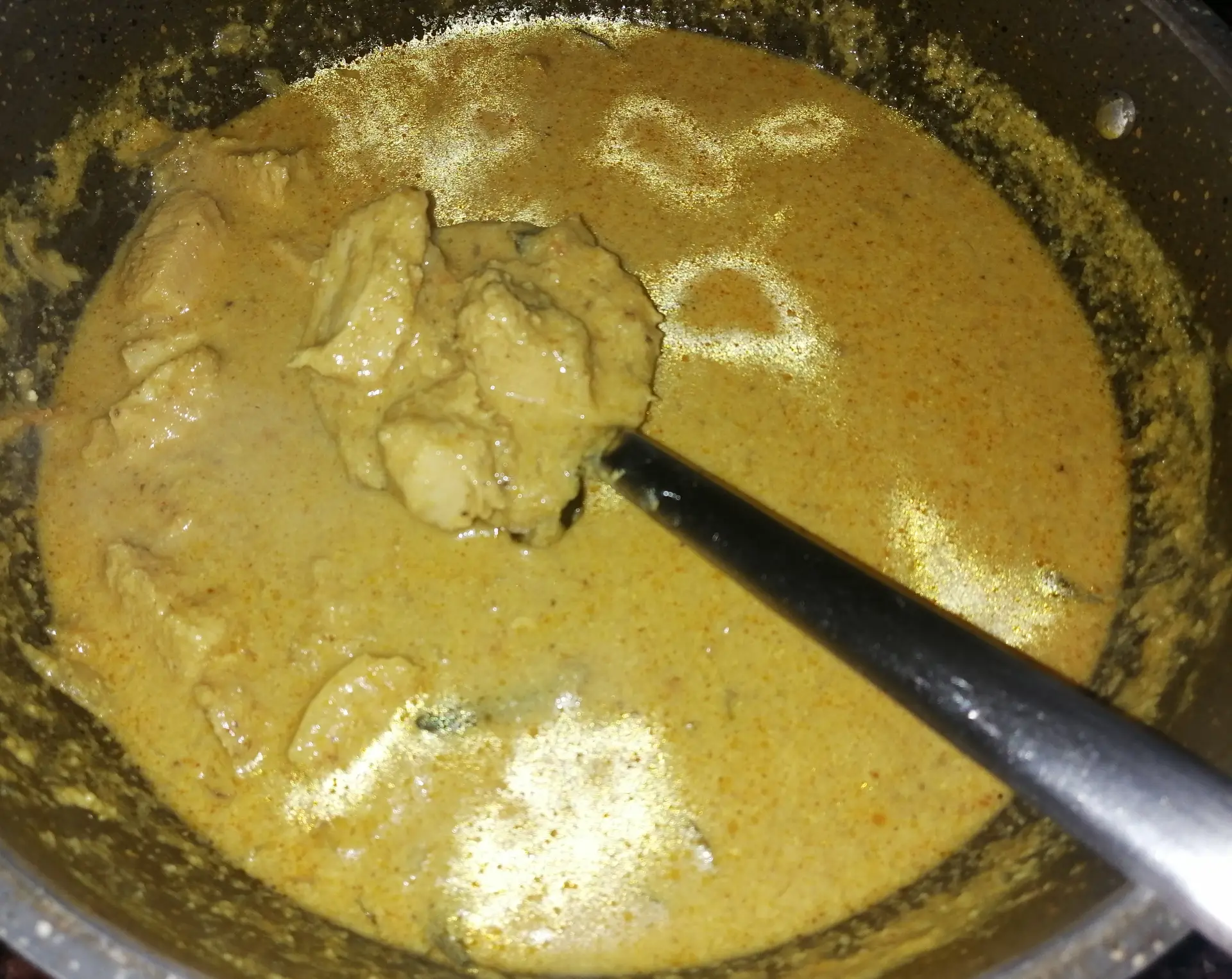 A cook's photo of Chicken Kurma (South-Indian Style)