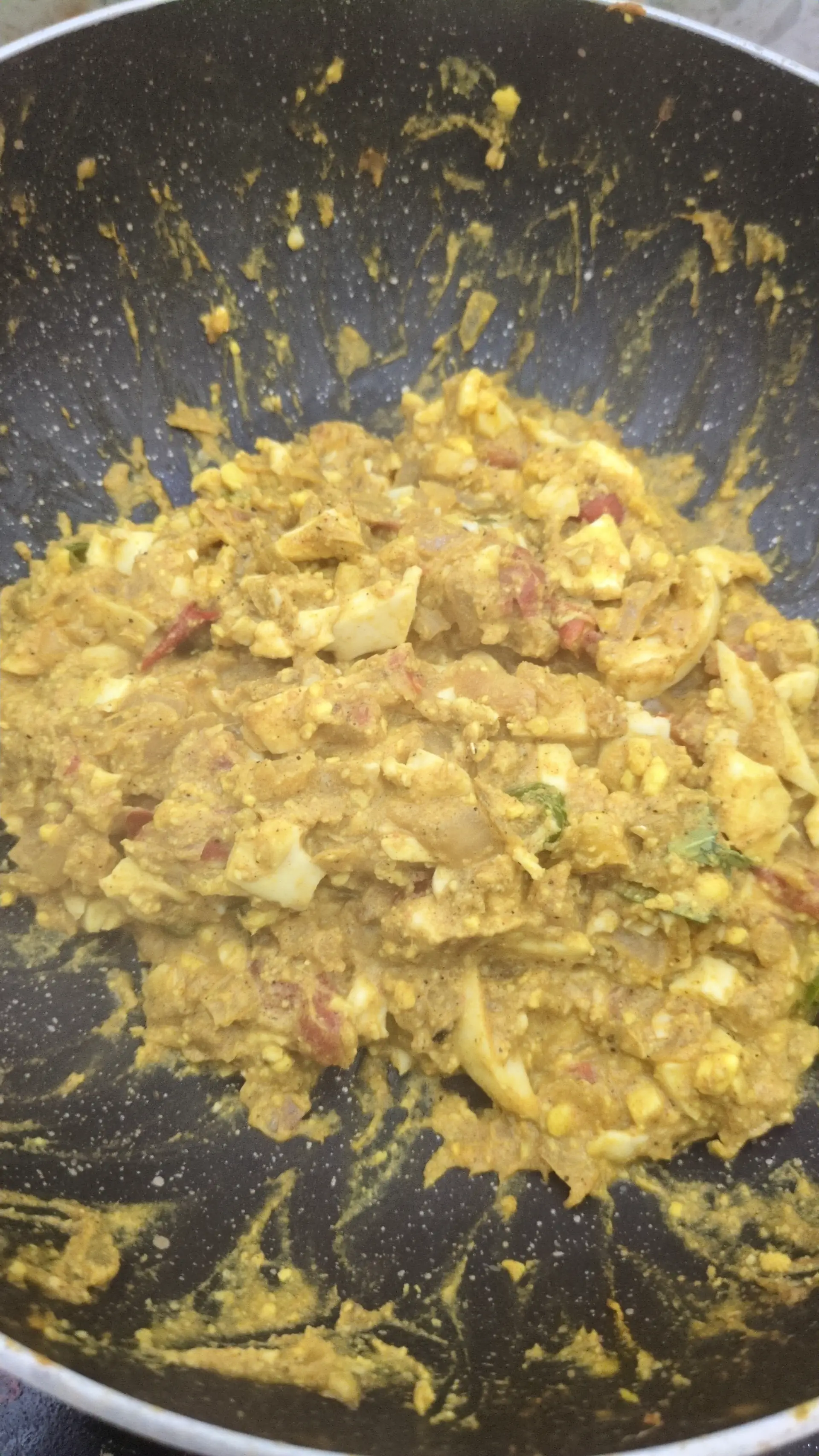A cook's photo of Egg Kheema Masala