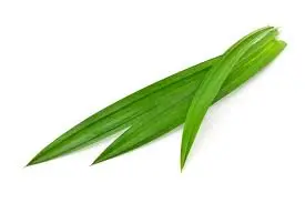 Pandan Leaves