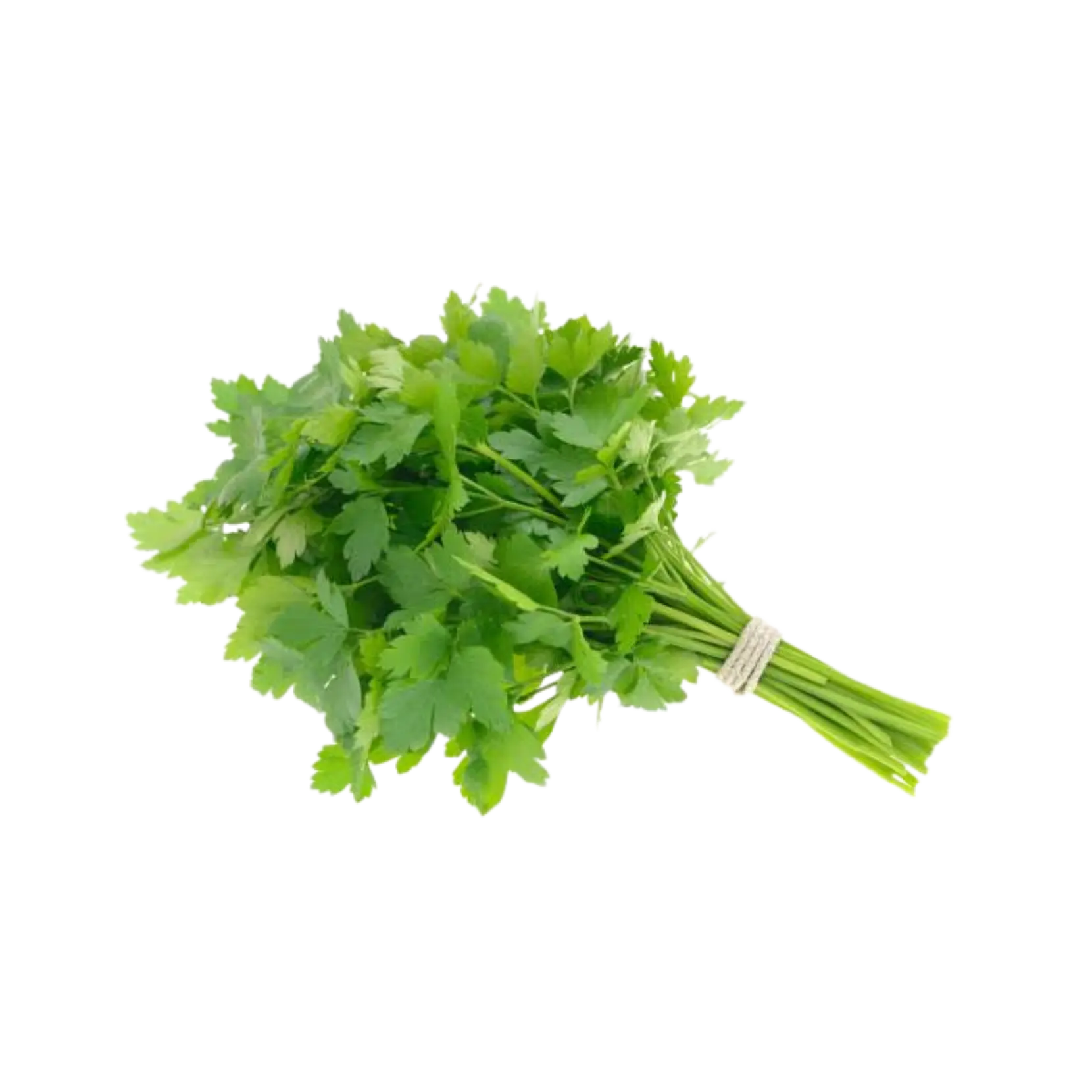 Parsley