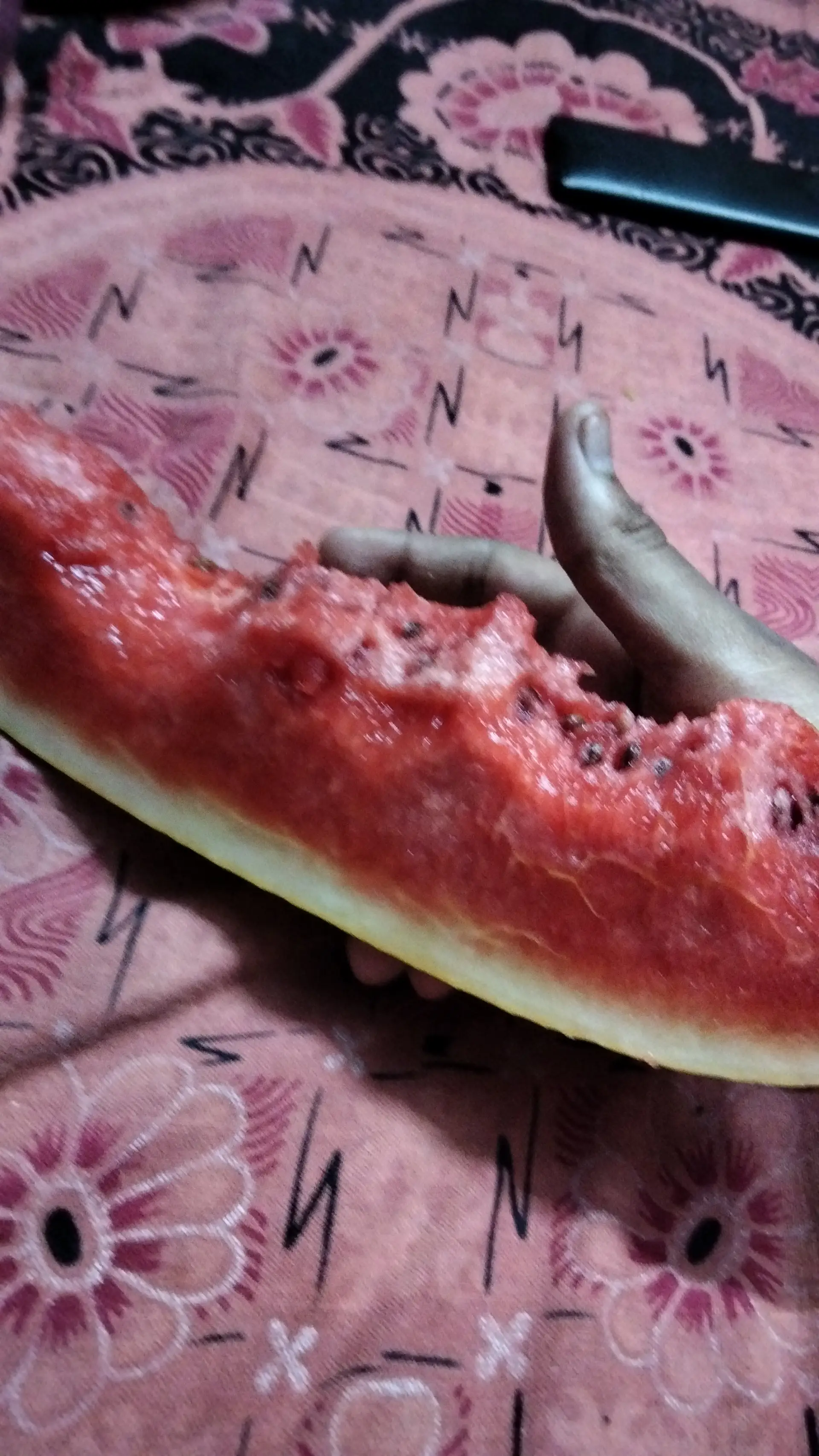 A cook's photo of Watermelon Granita