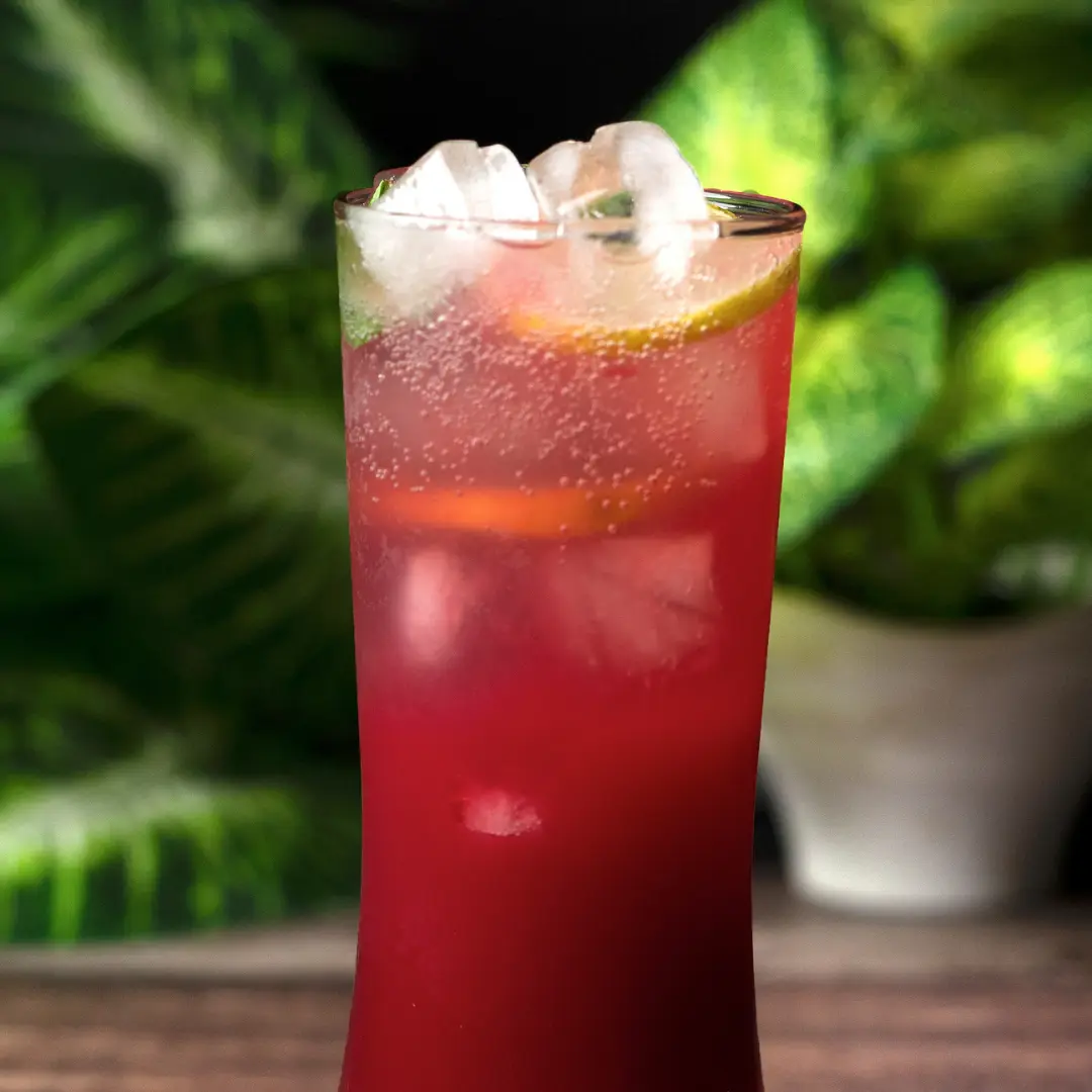 Pomegranate Mojito