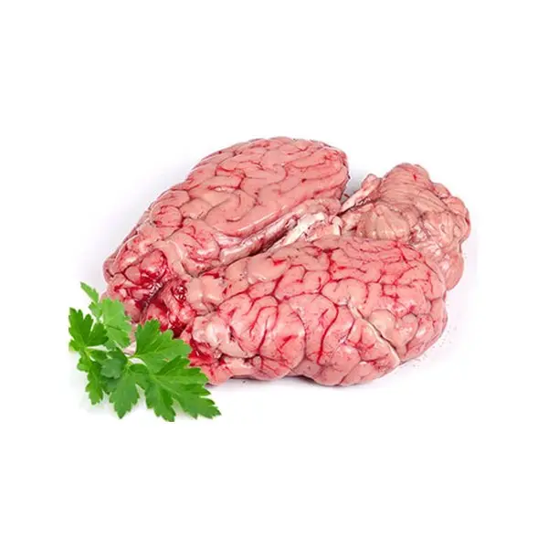Muton Brain