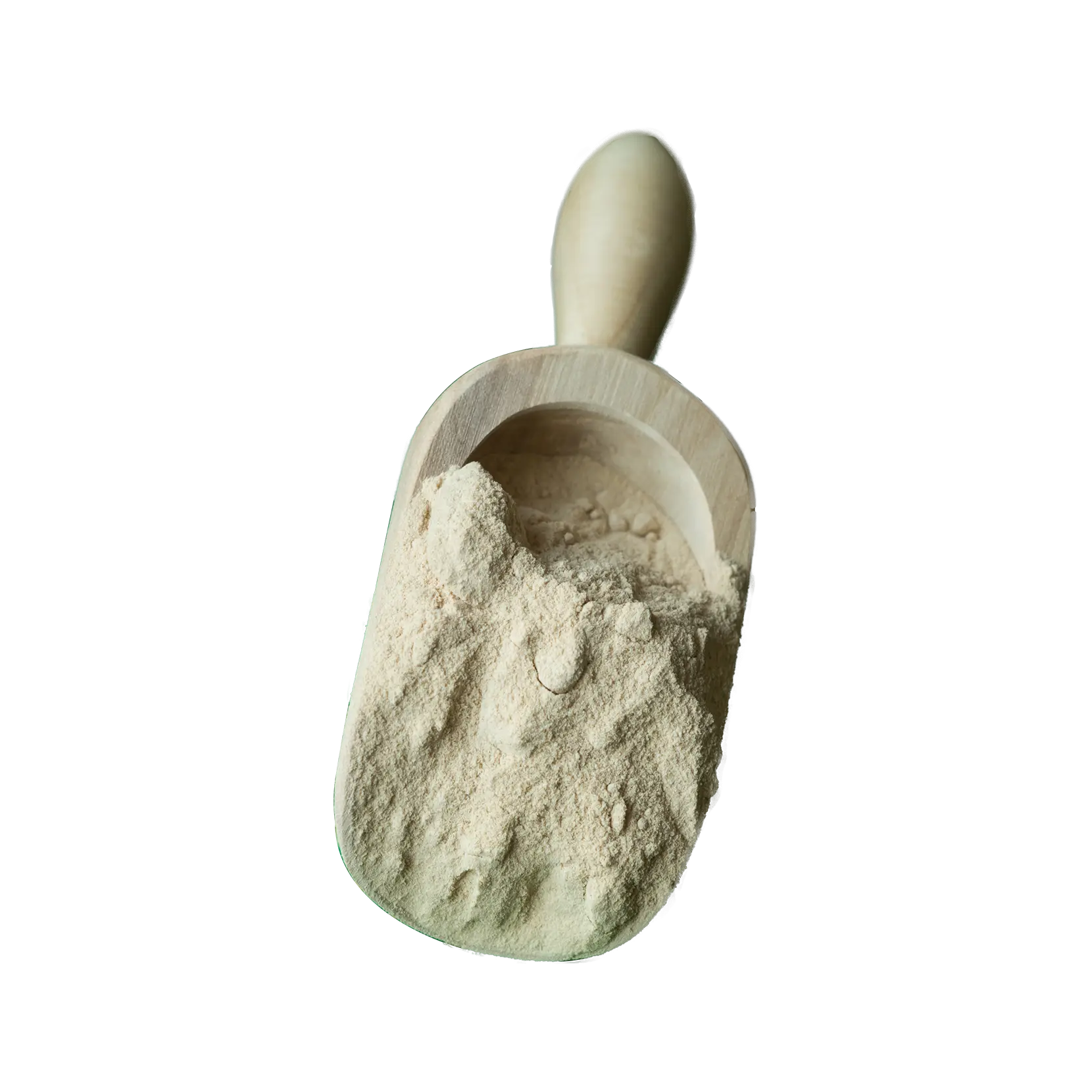 Onion Powder