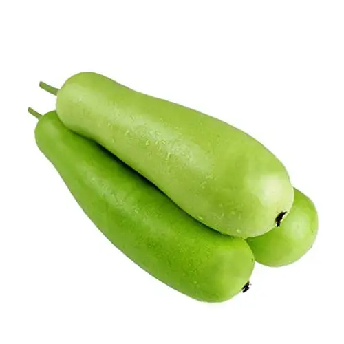 Bottle Gourd