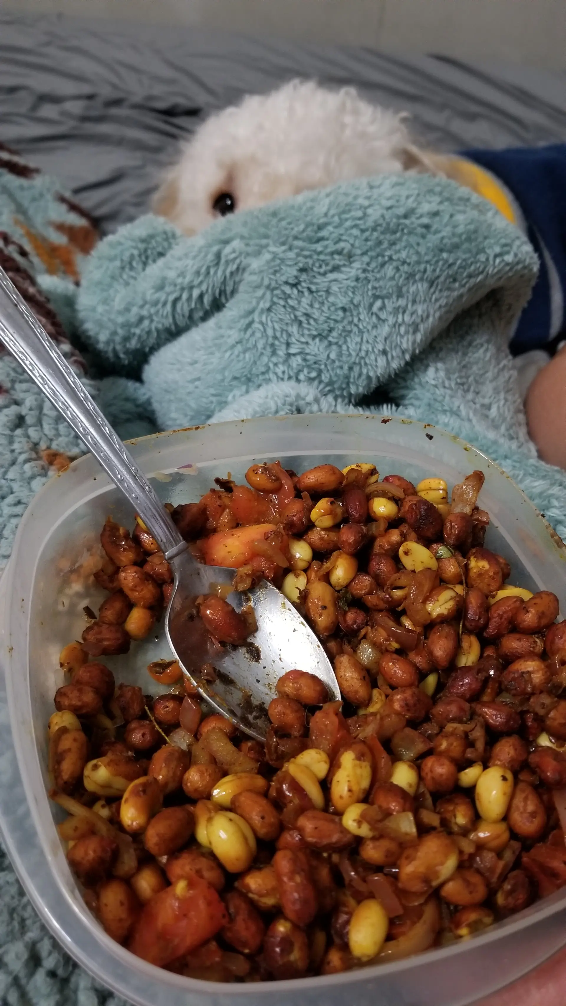 A cook's photo of Peanut Chaat