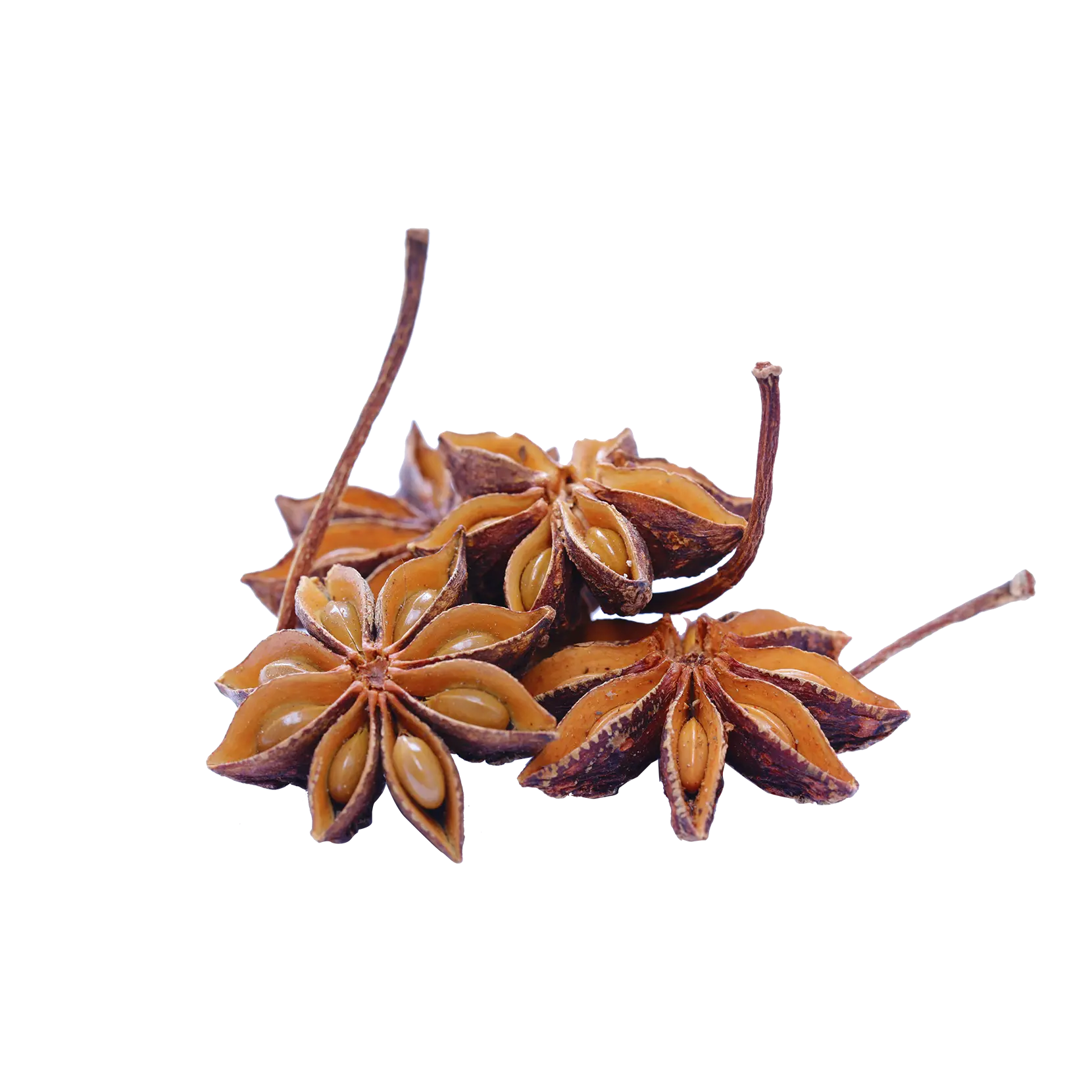 Star Anise