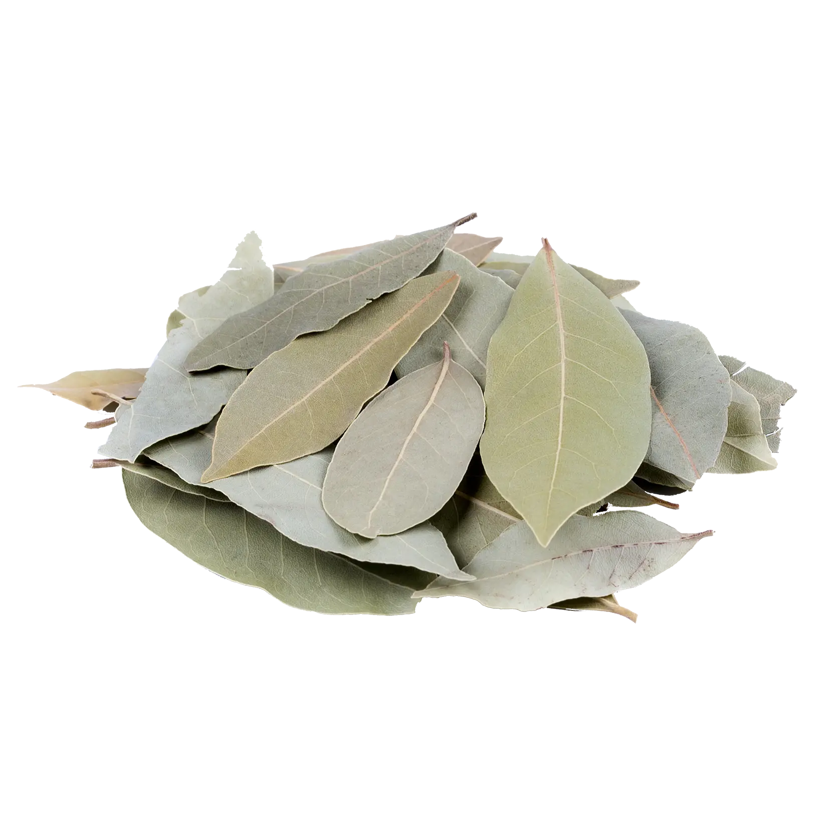 Bay Leaves