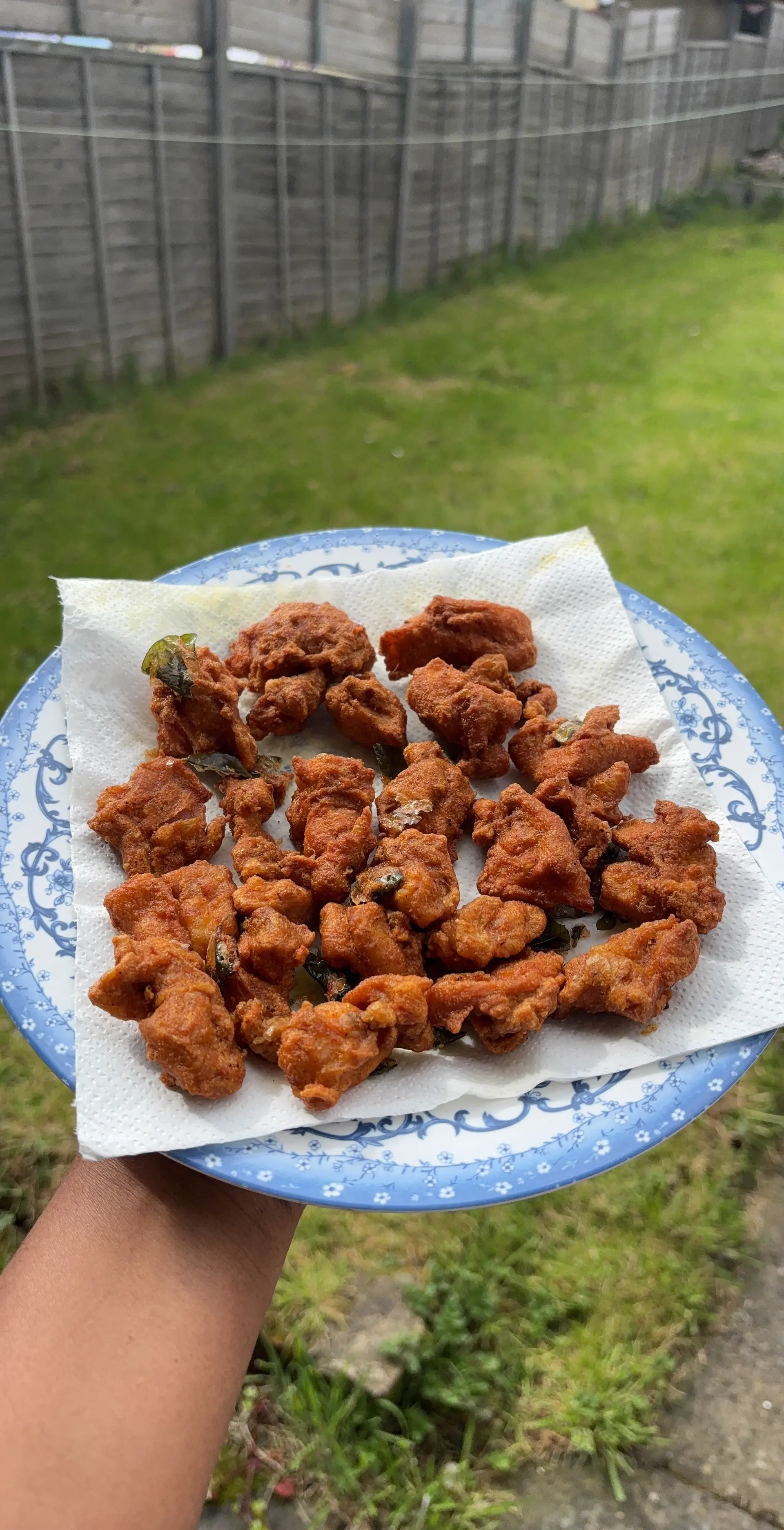 A cook's photo of Chicken 65