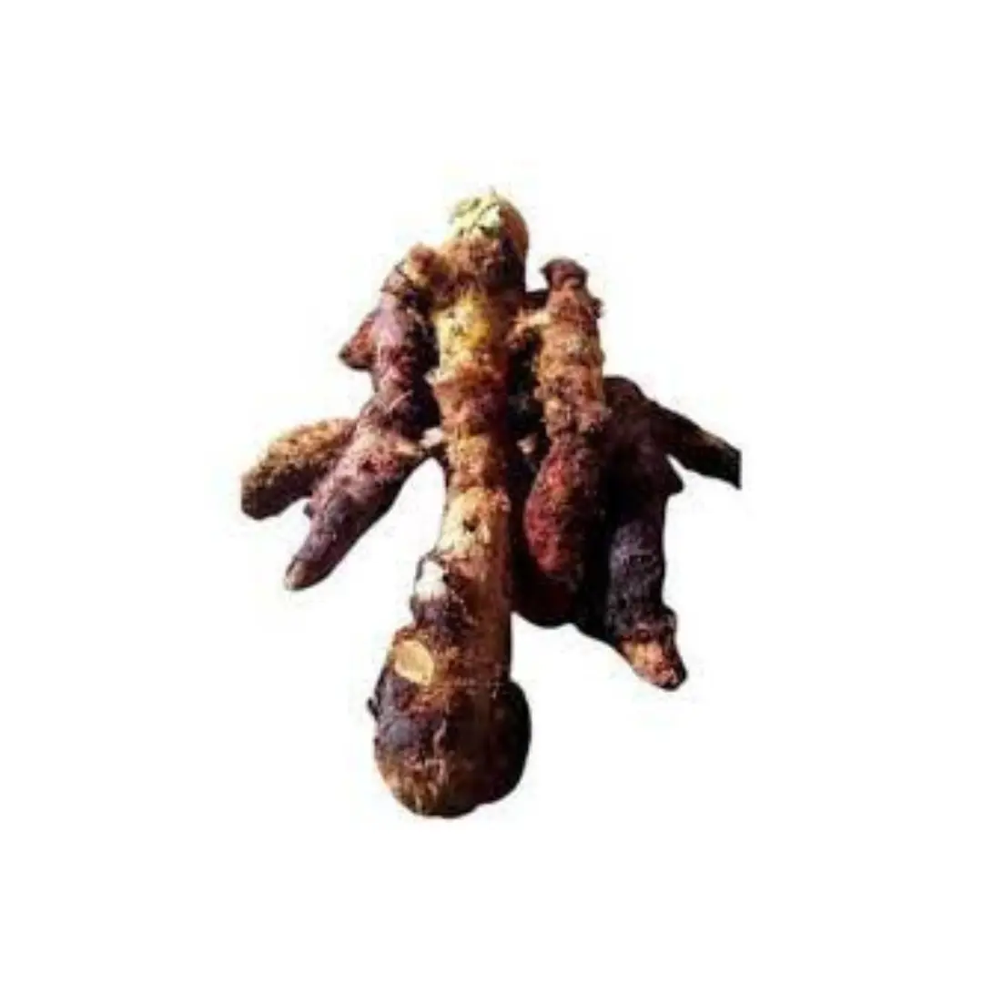 Goat Leg Tuber