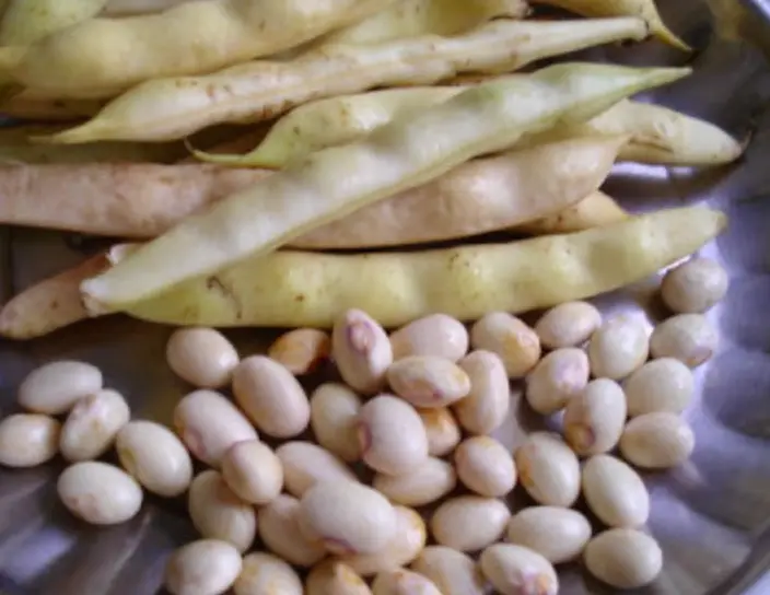 Butter Beans
