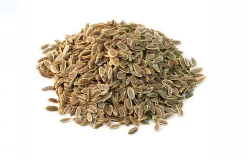 Dill Seeds