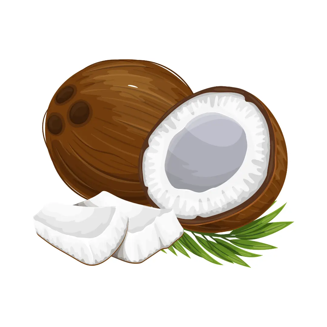 Coconut Slivers