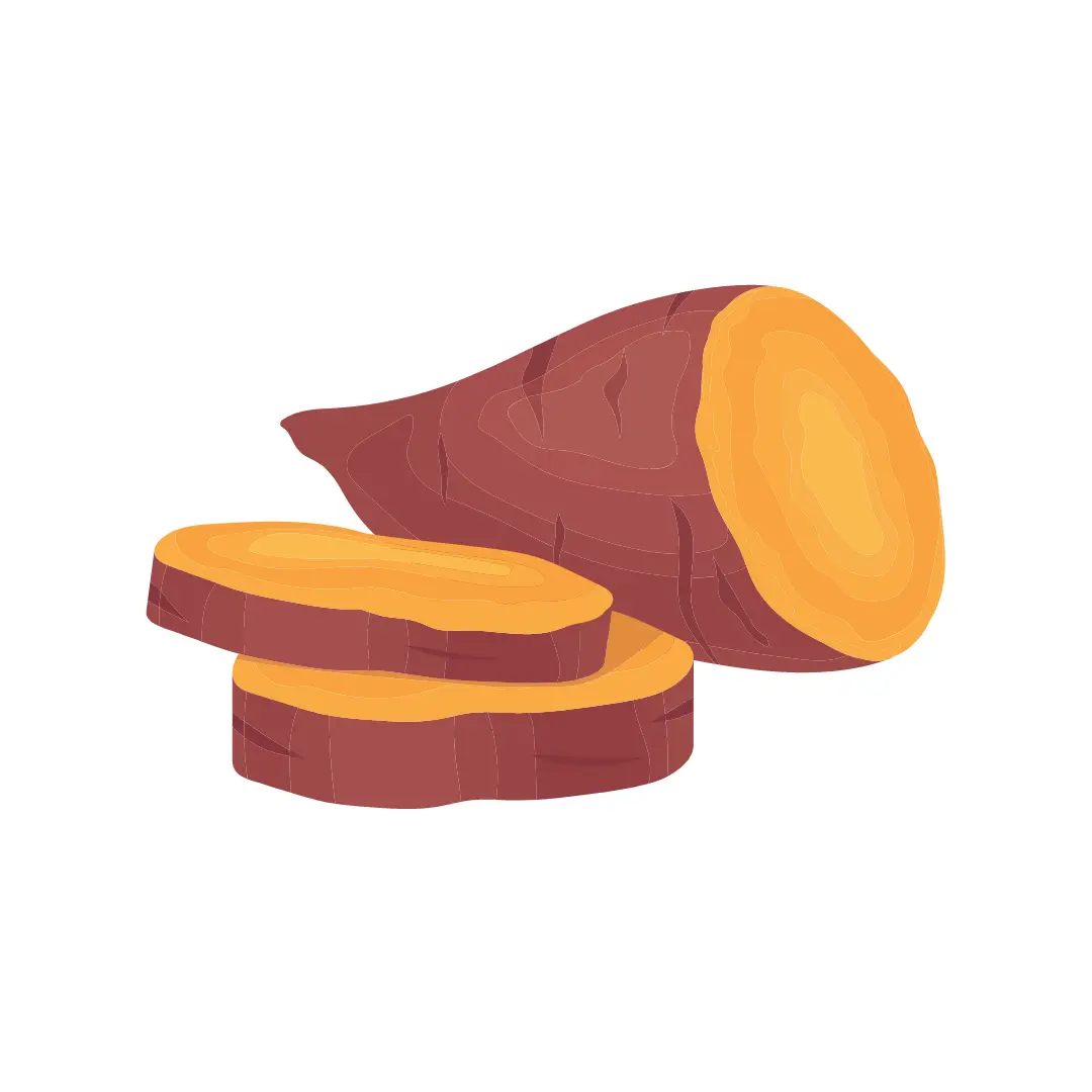 Sweet Potato