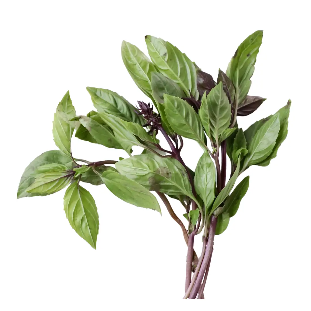Thai Basil Leaves