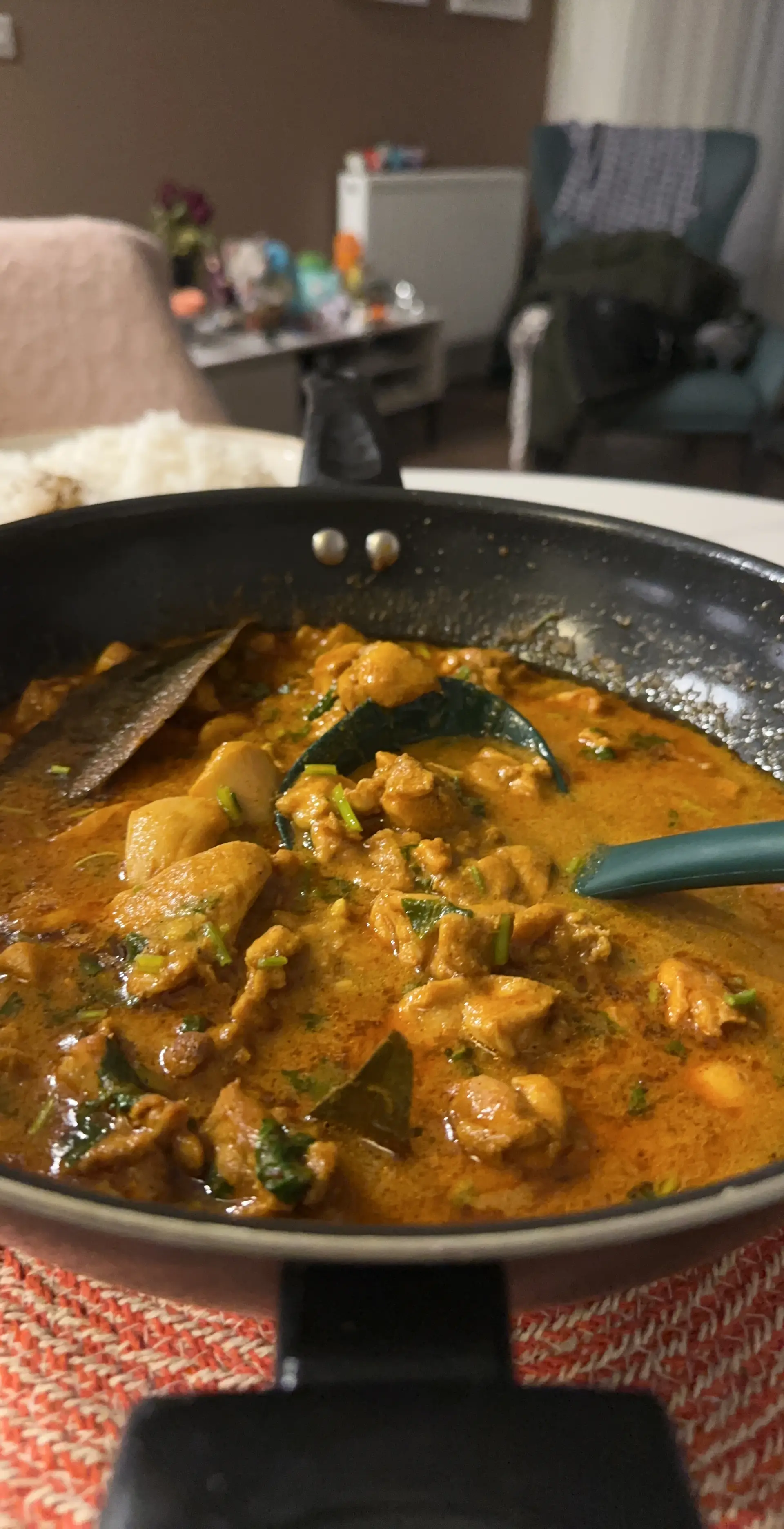 A cook's photo of Mughlai Chicken