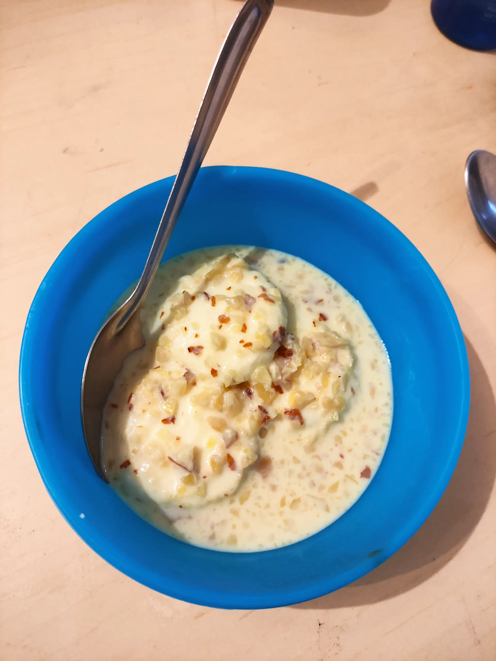 A cook's photo of Rasmalai