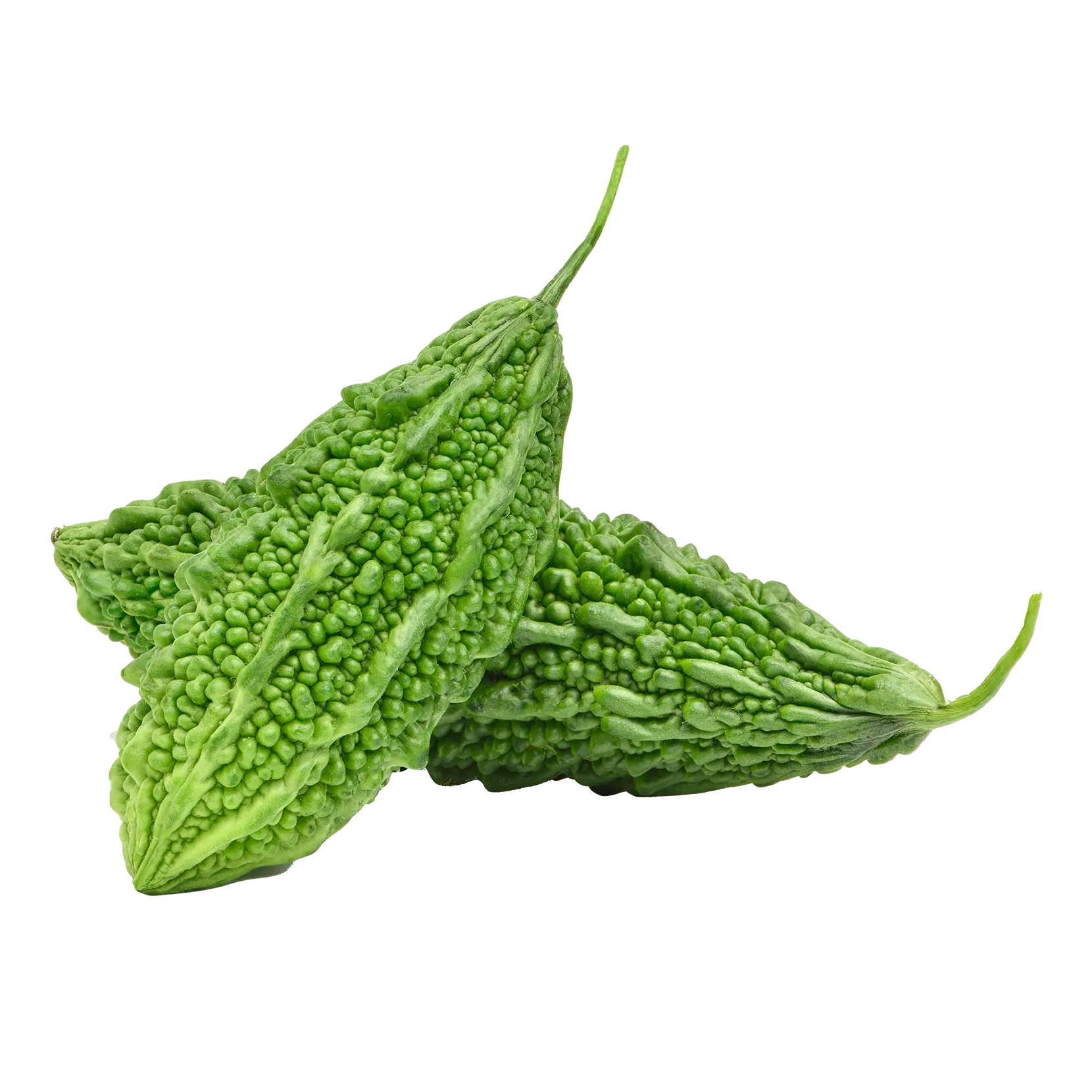 Bitter Gourd