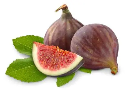 Fig