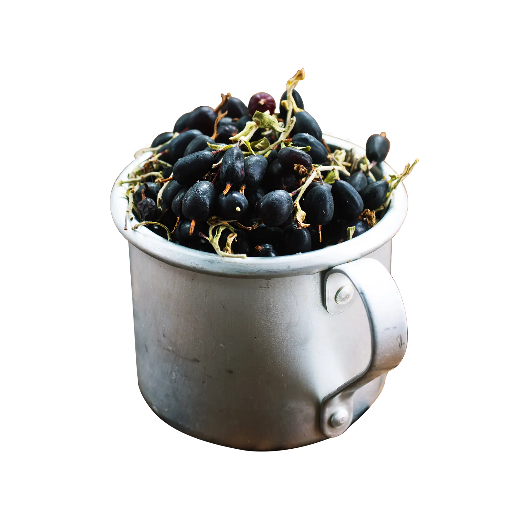 Currants