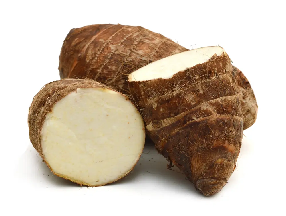 Arrowroot