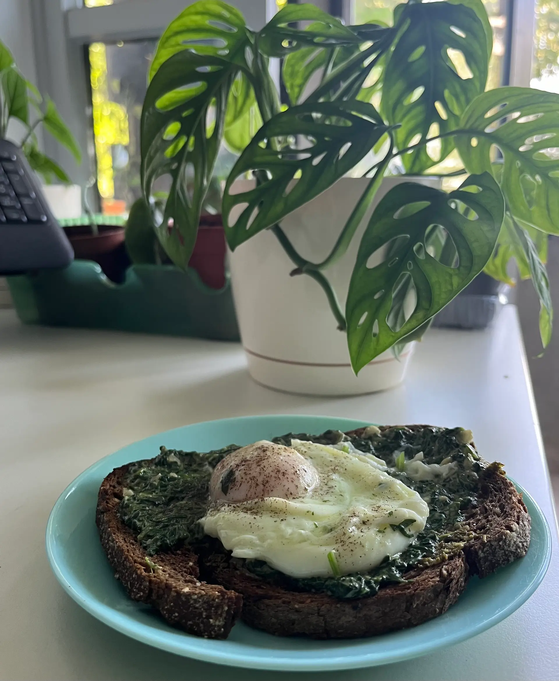 A cook's photo of Egg Florentine