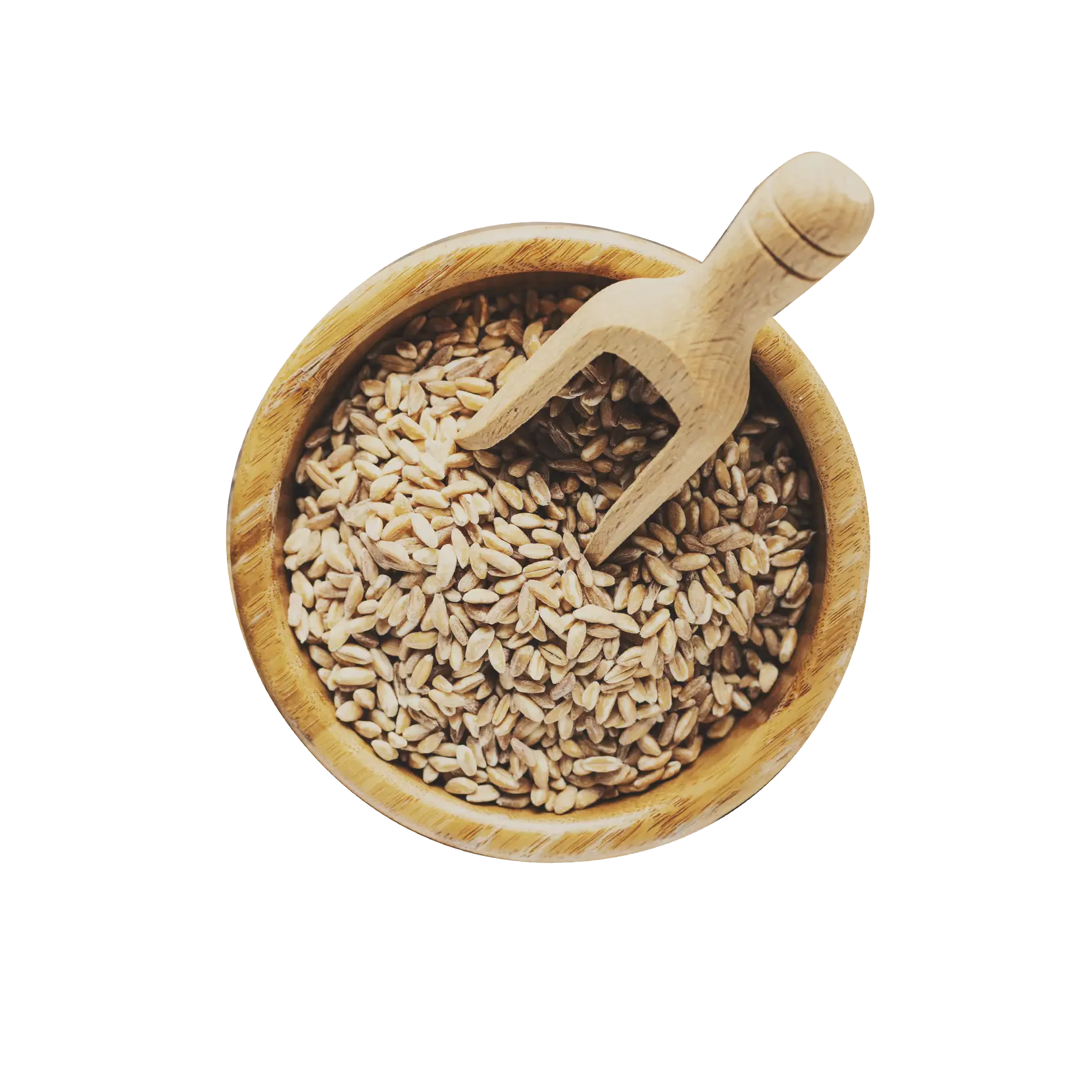 Barley