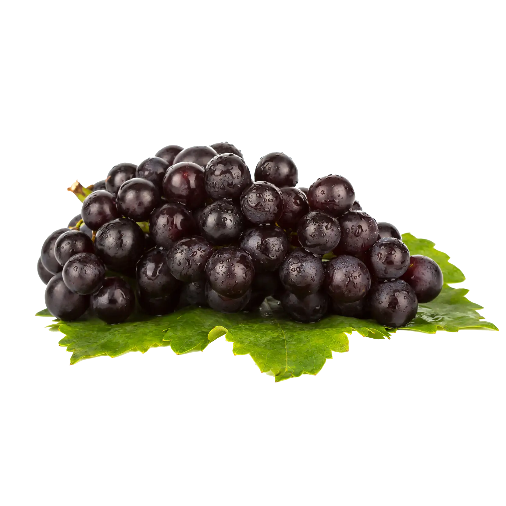Black Grapes