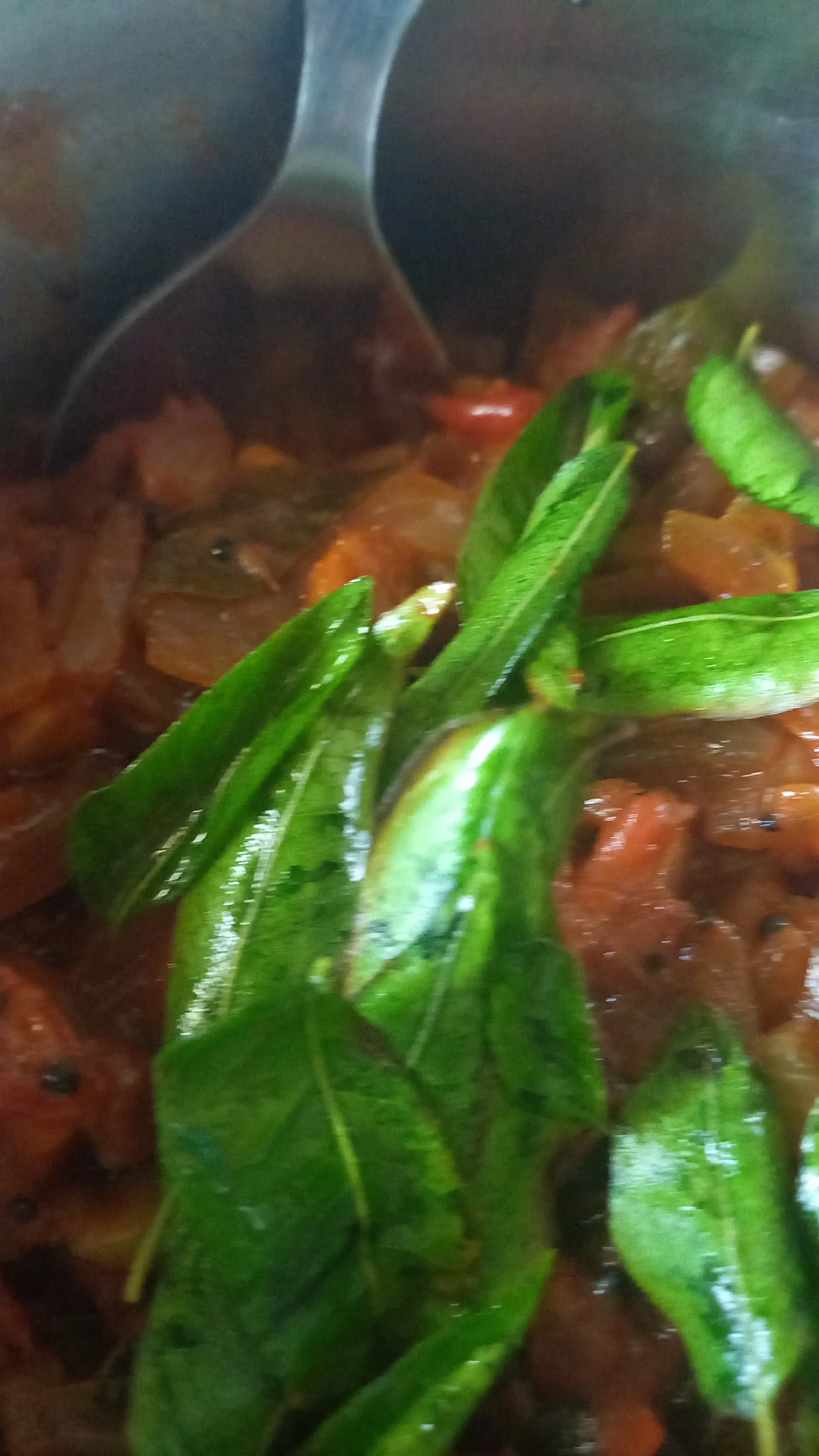 A cook's photo of Tomato Thokku