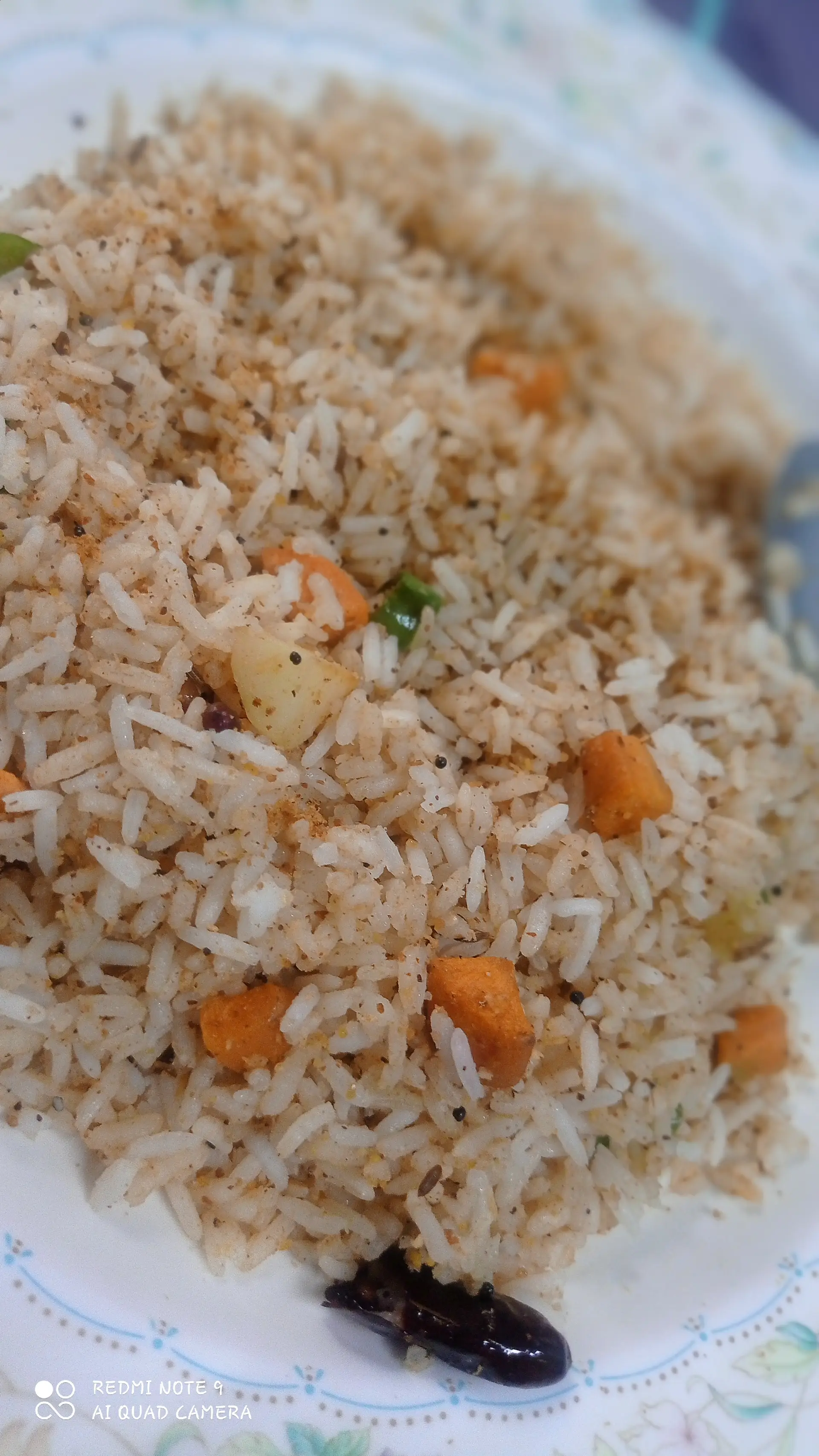 A cook's photo of Spicy Masala Rice