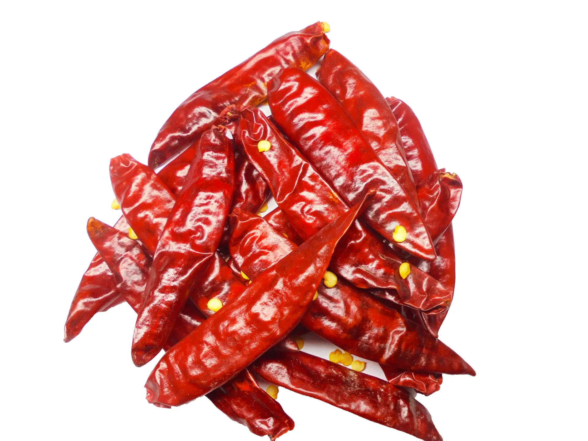 Guntur Dry Red Chilli