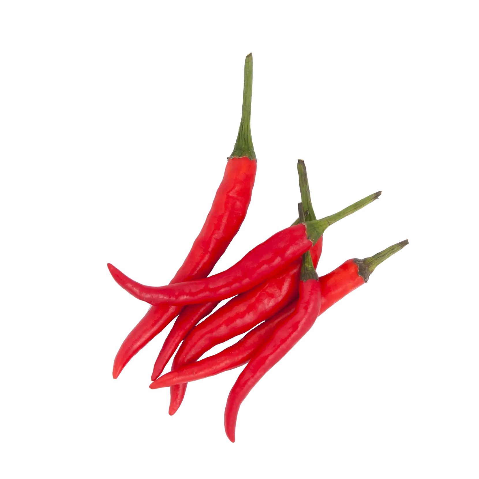 Red Chilli