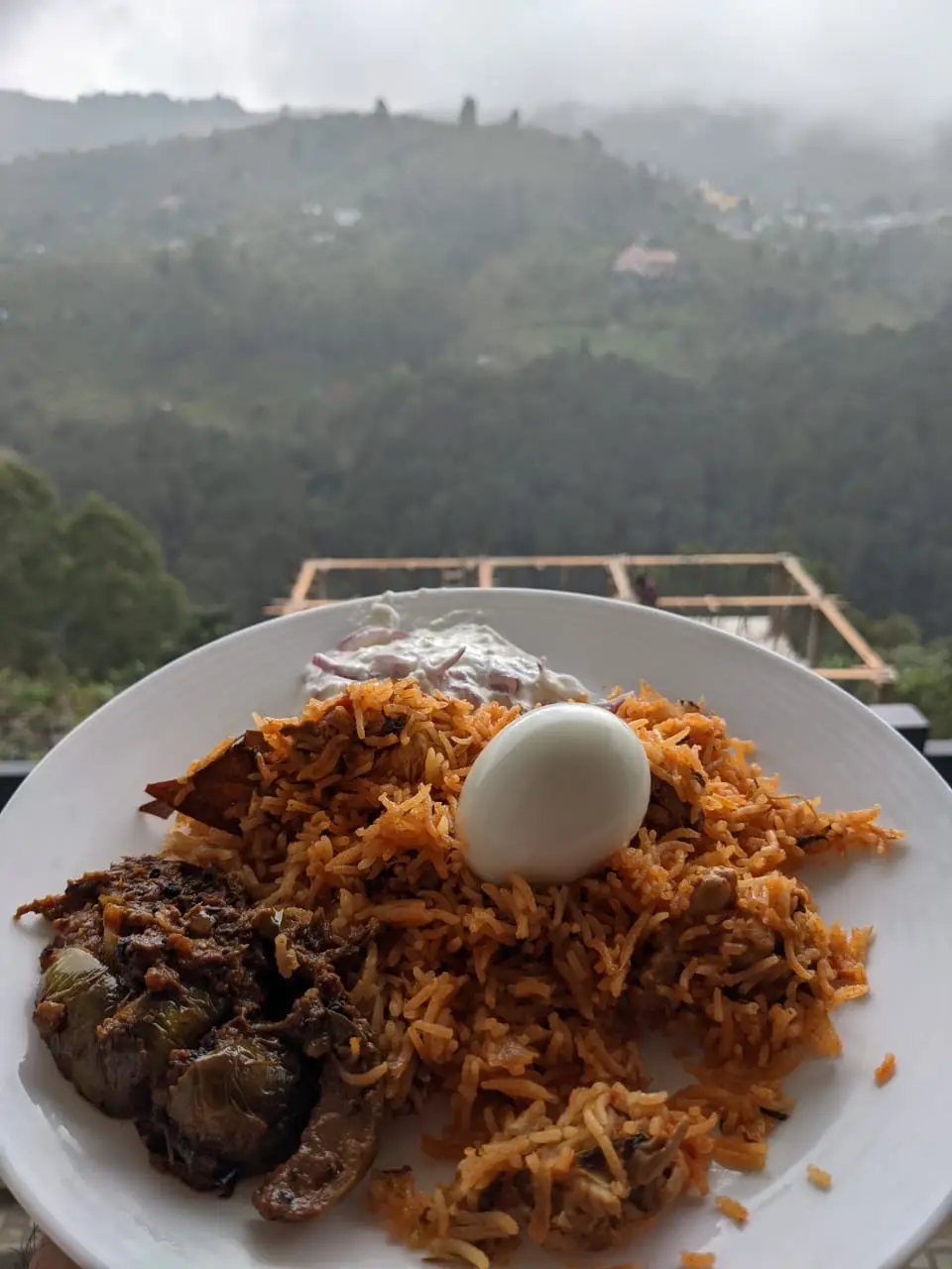 A cook's photo of Wedding Style Chicken Biryani