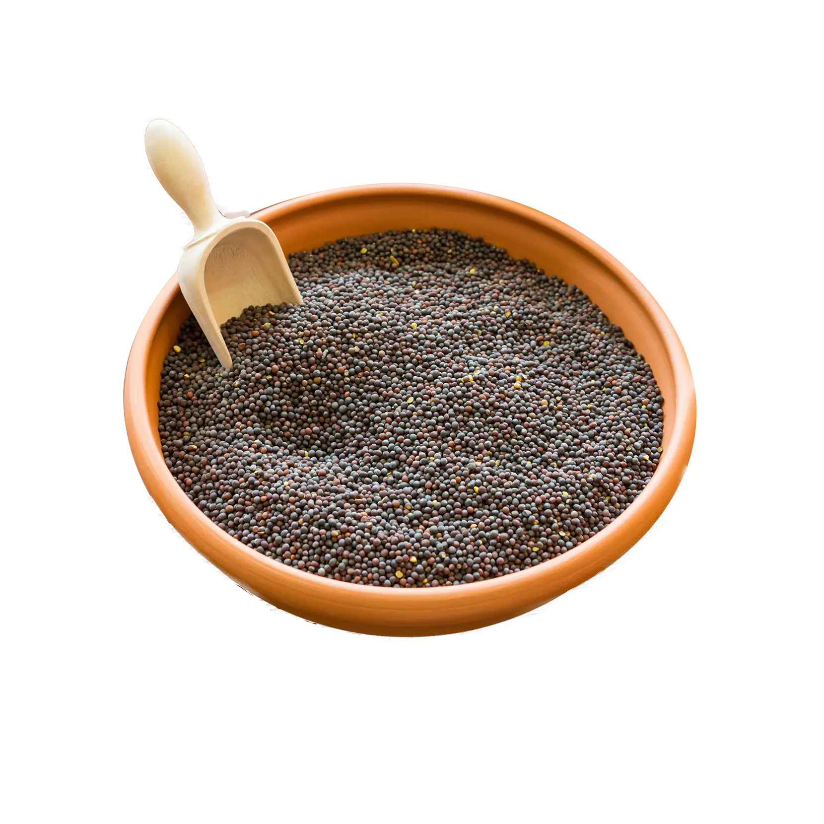 Mustard Seeds