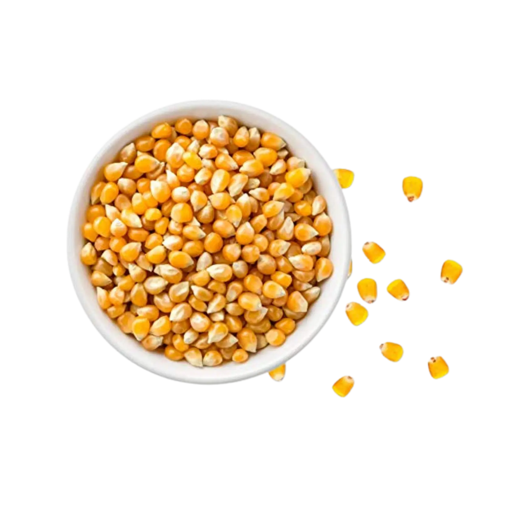 Dried Corn Kernel